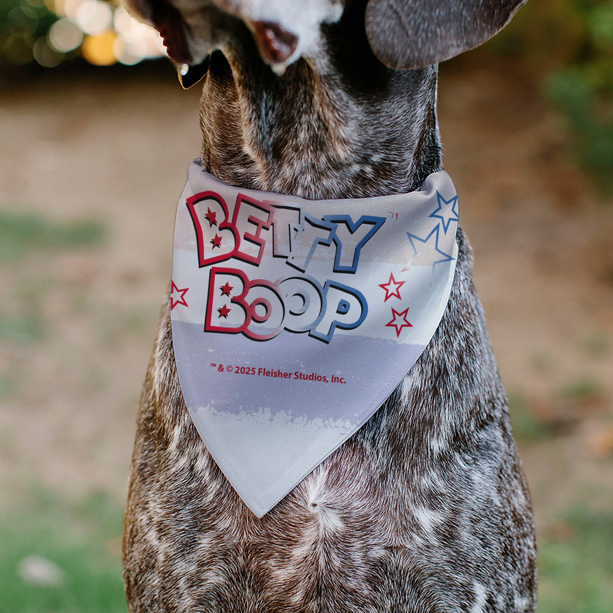 Pet Bandana - Betty Boop Americana Leg Kick Pose White/Red/Blue | HT Animal Supply
