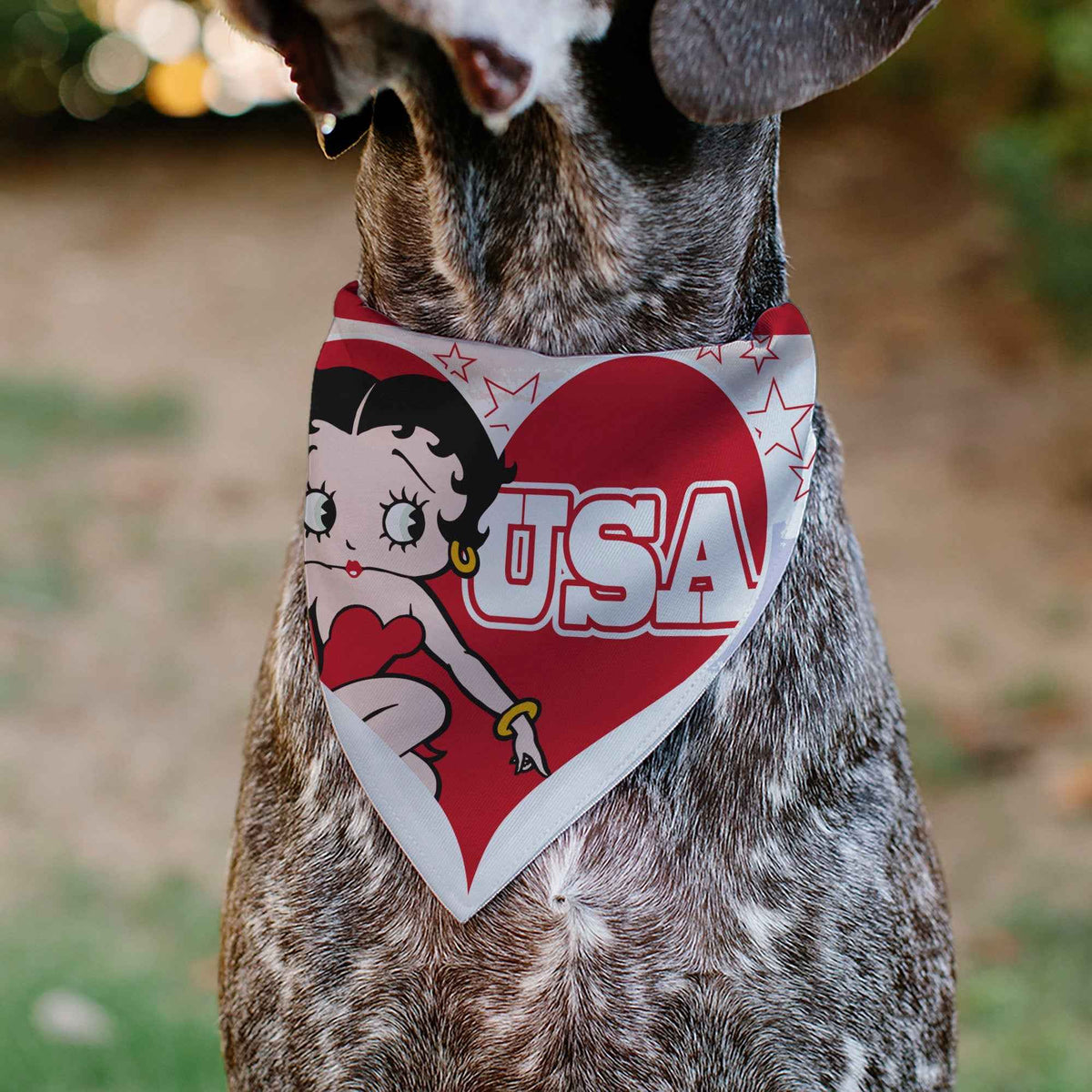 Pet Bandana - Betty Boop USA Heart Pose and Stars White/Red