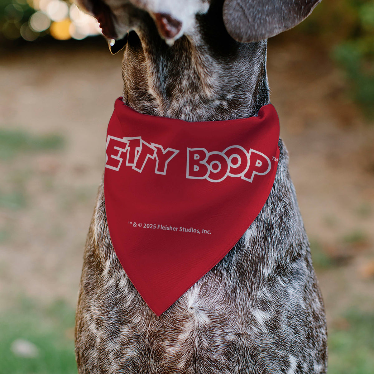 Pet Bandana - Betty Boop USA Heart Pose and Stars White/Red | HT Animal Supply