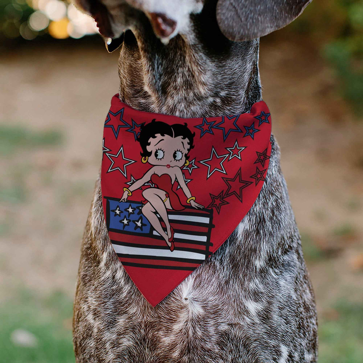 Pet Bandana - Betty Boops Americana Stars and Stripes Pose Reds/White/Blue