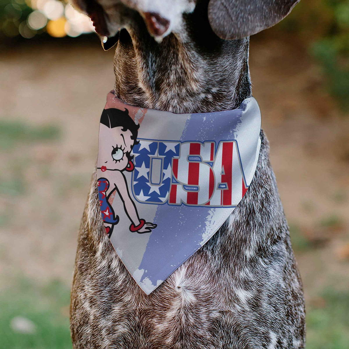 Pet Bandana - Betty Boop USA Stars and Stripes Pose White/Red/Blue
