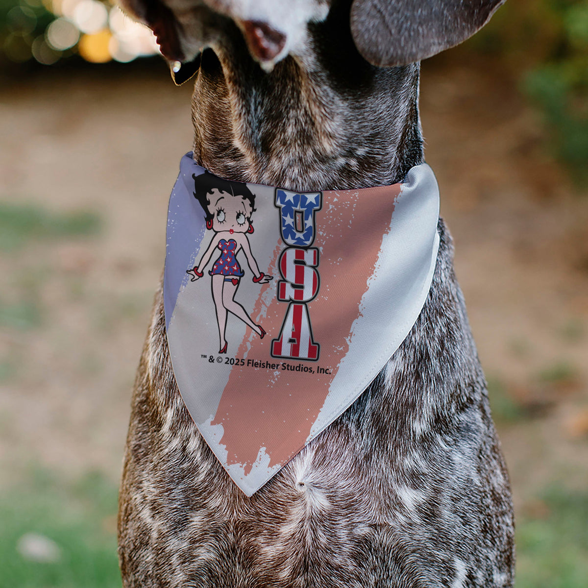 Pet Bandana - Betty Boop USA Stars and Stripes Pose White/Red/Blue | HT Animal Supply