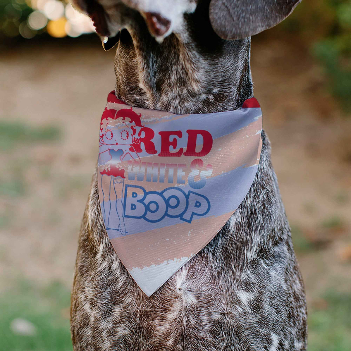 Pet Bandana - Betty Boop RED WHITE & BOOP Stripes Pose White/Red/Blue