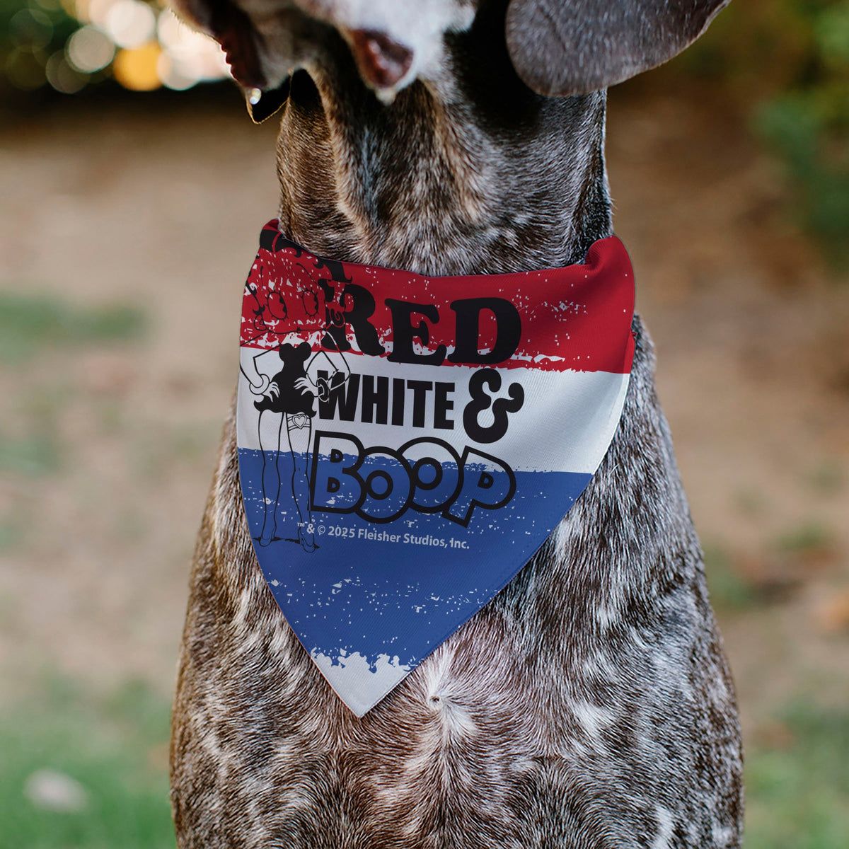 Pet Bandana - Betty Boop RED WHITE & BOOP Stripes Pose White/Red/Blue | HT Animal Supply