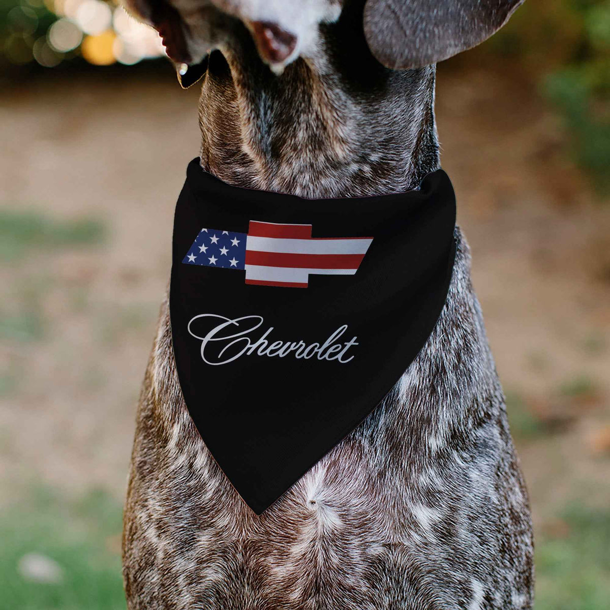 Pet Bandana - CHEVROLET Script and Americana Bowtie Black