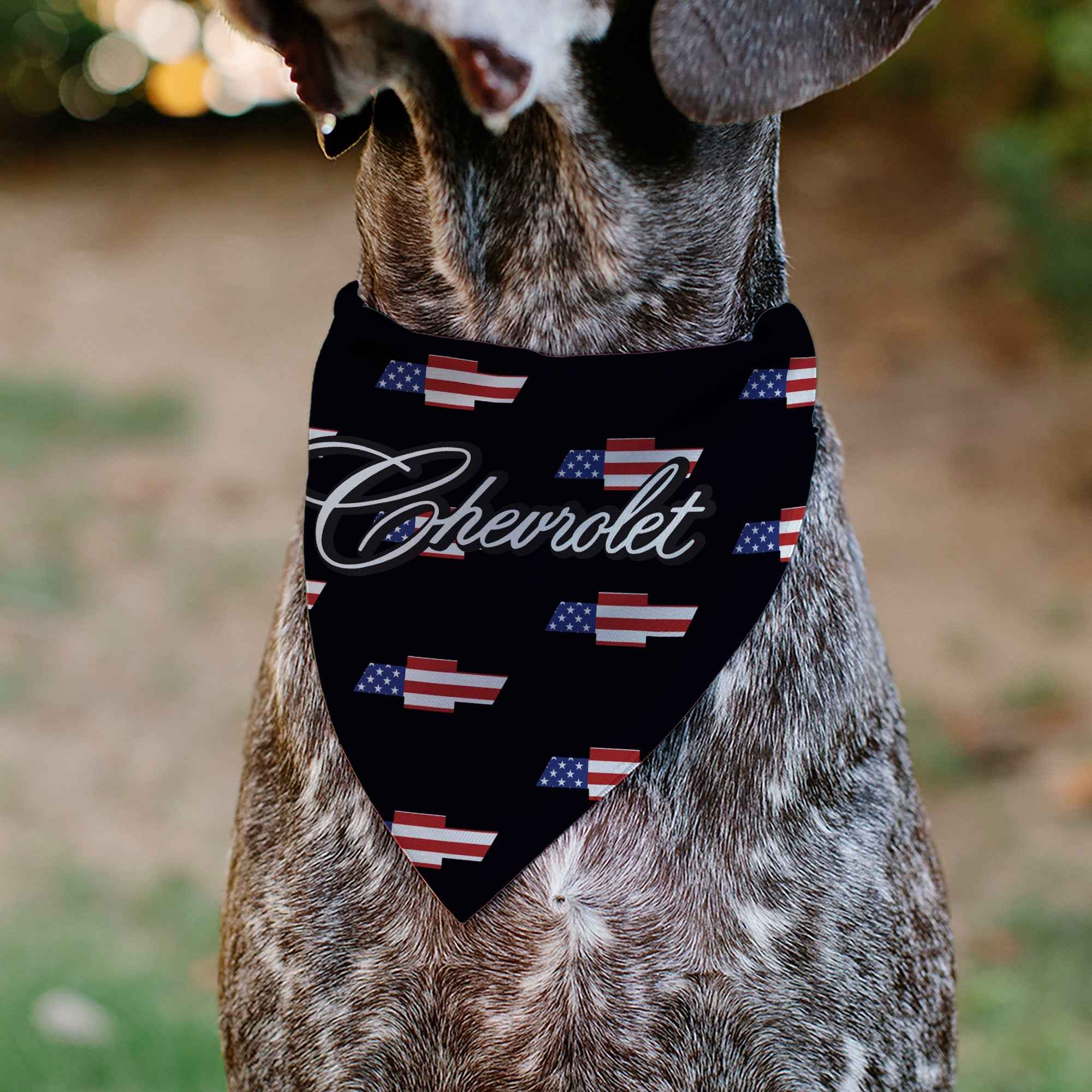 Buckle-Down Chevrolet Script and Americana Bowtie Repeat Black Over-the-Collar Dog Bandana