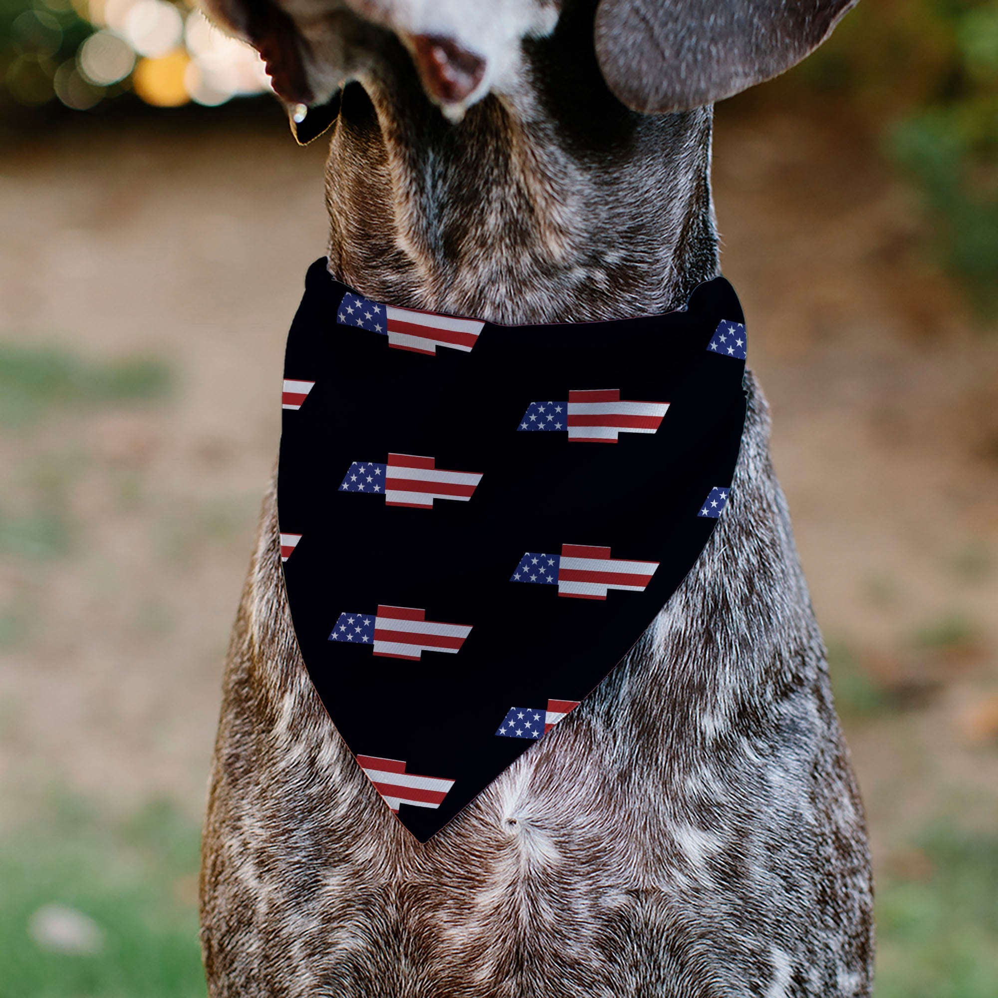 Buckle-Down Chevrolet Script and Americana Bowtie Repeat Black Over-the-Collar Dog Bandana