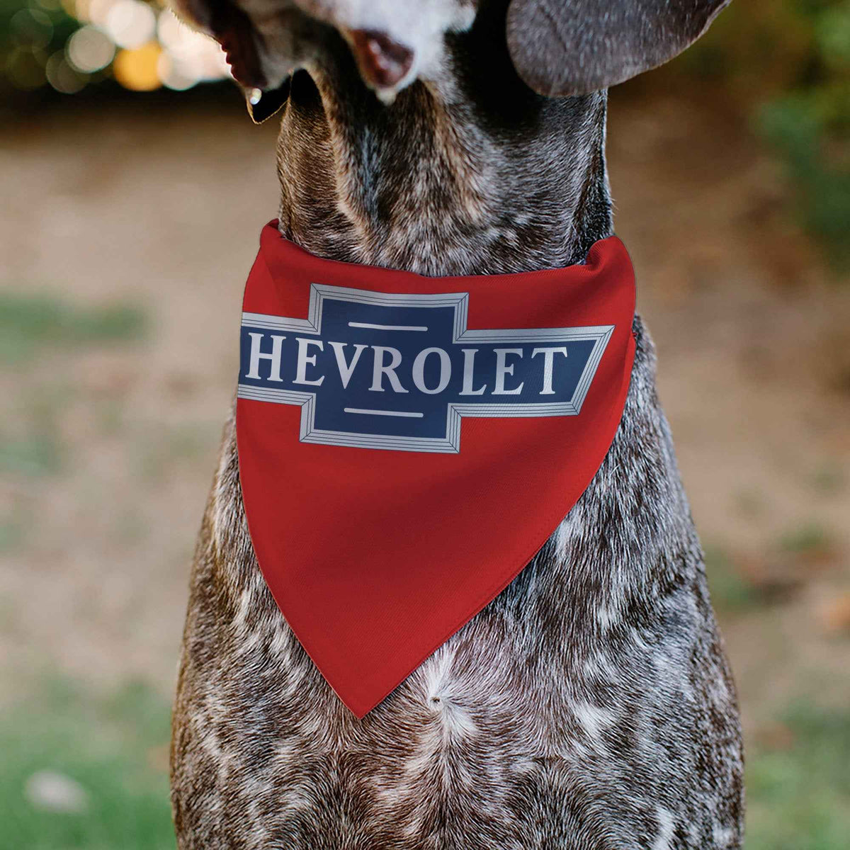 Pet Bandana - CHEVROLET 1940 Bowtie Text Logo Red/White/Blue