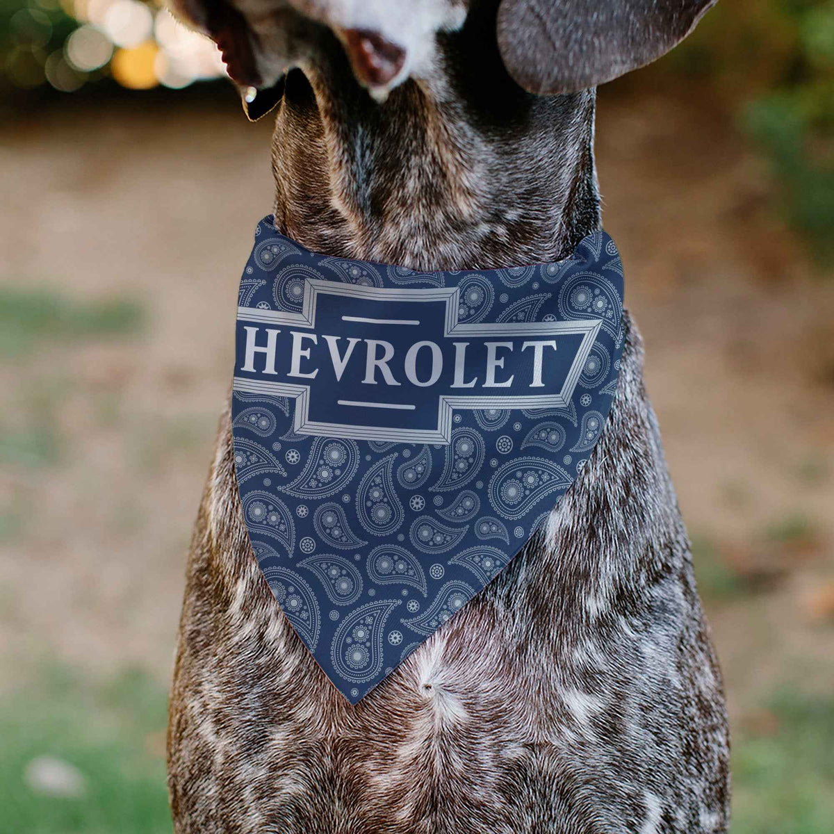 Pet Bandana - CHEVROLET 1940 Bowtie Text Logo Paisley Blue/White