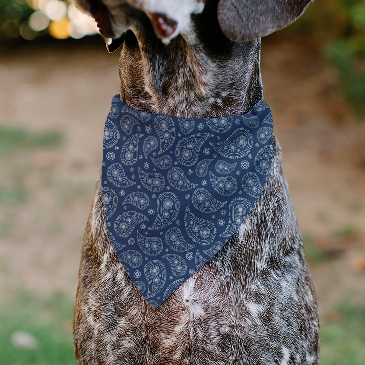 Pet Bandana - CHEVROLET 1940 Bowtie Text Logo Paisley Blue/White | HT Animal Supply