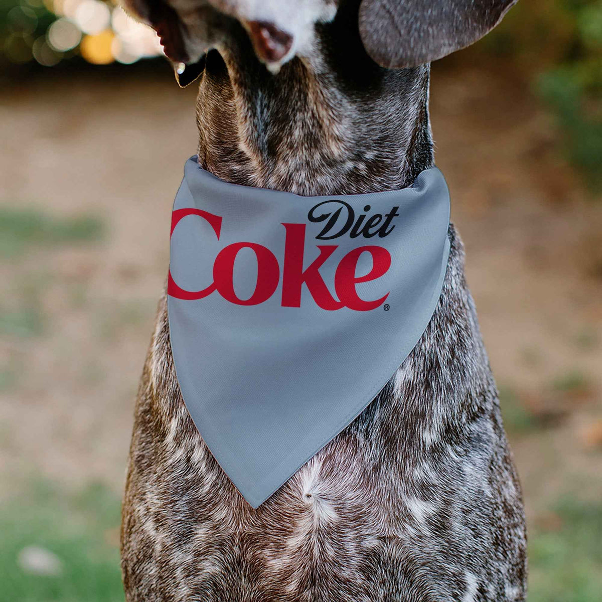 Pet Bandana - DIET COKE Logo Gray/Black/Red