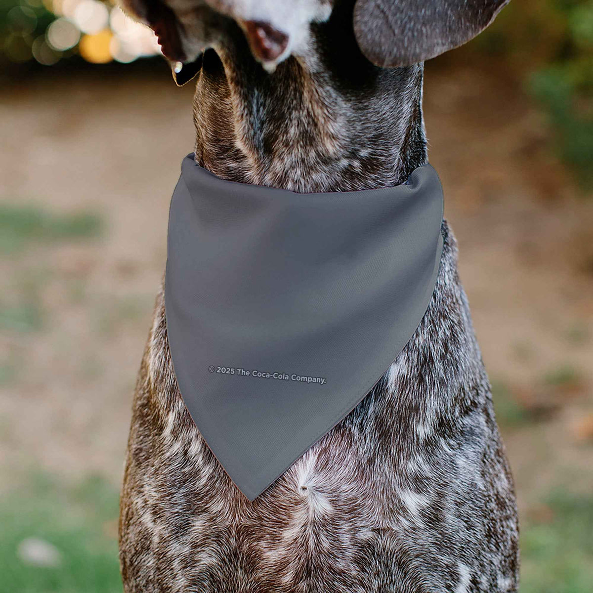 Pet Bandana - DIET COKE Logo Gray/Red/White