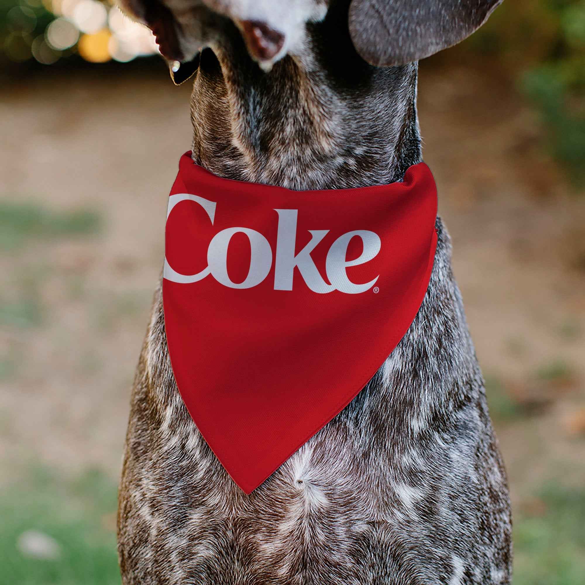 Buckle-Down Coca-Cola COKE Logo Centered Red/White Over-the-Collar Dog Bandana