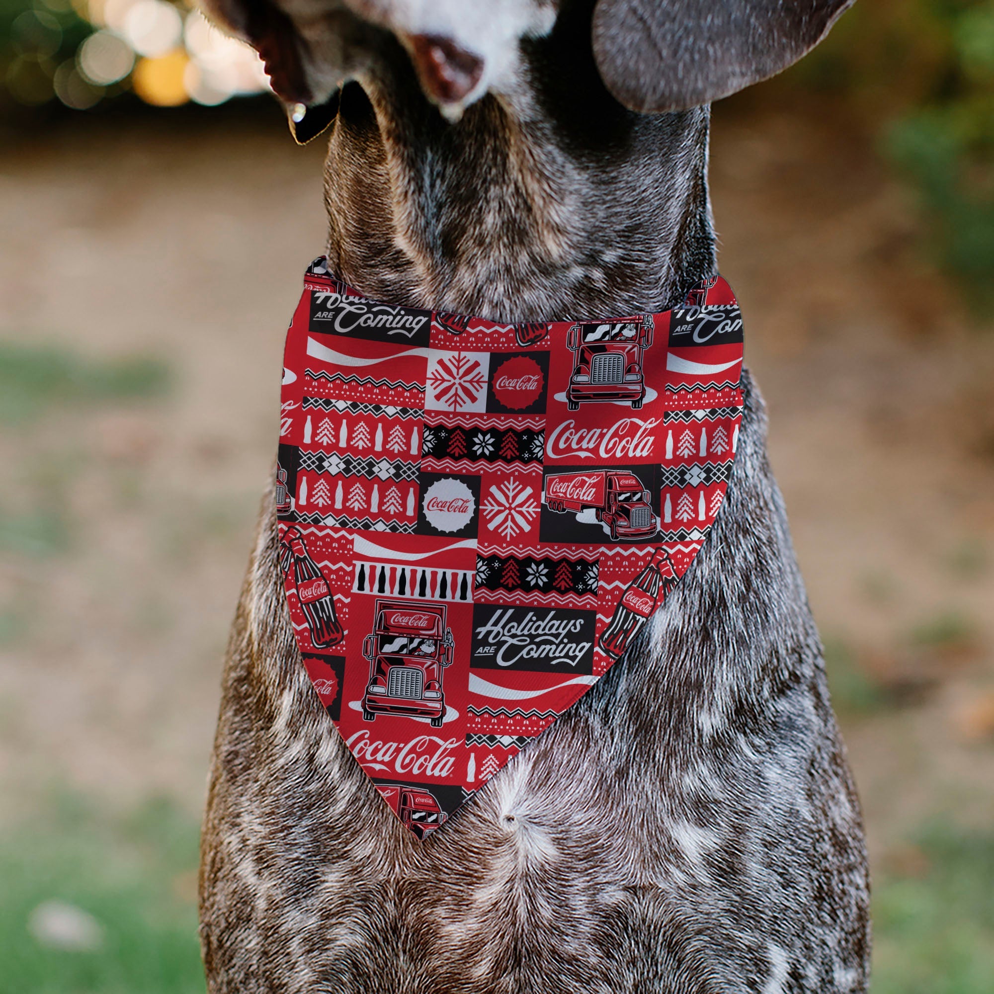 Buckle-Down Coca-Cola Holiday Sweater Collage Red/Black/White Over-the-Collar Dog Bandana