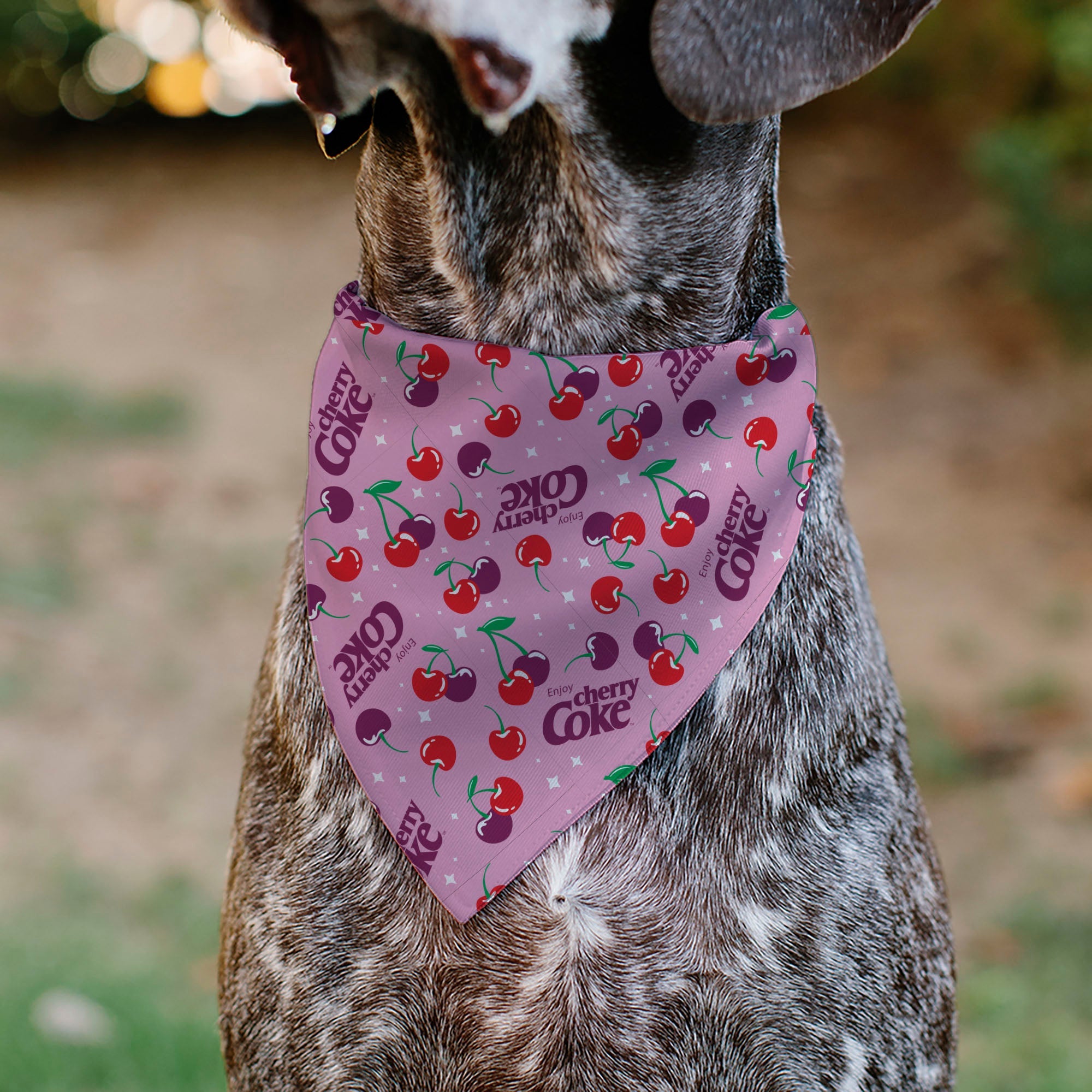 Buckle-Down Cherry COKE Cherries and Logo Scattered Pink Over-the-Collar Dog Bandana
