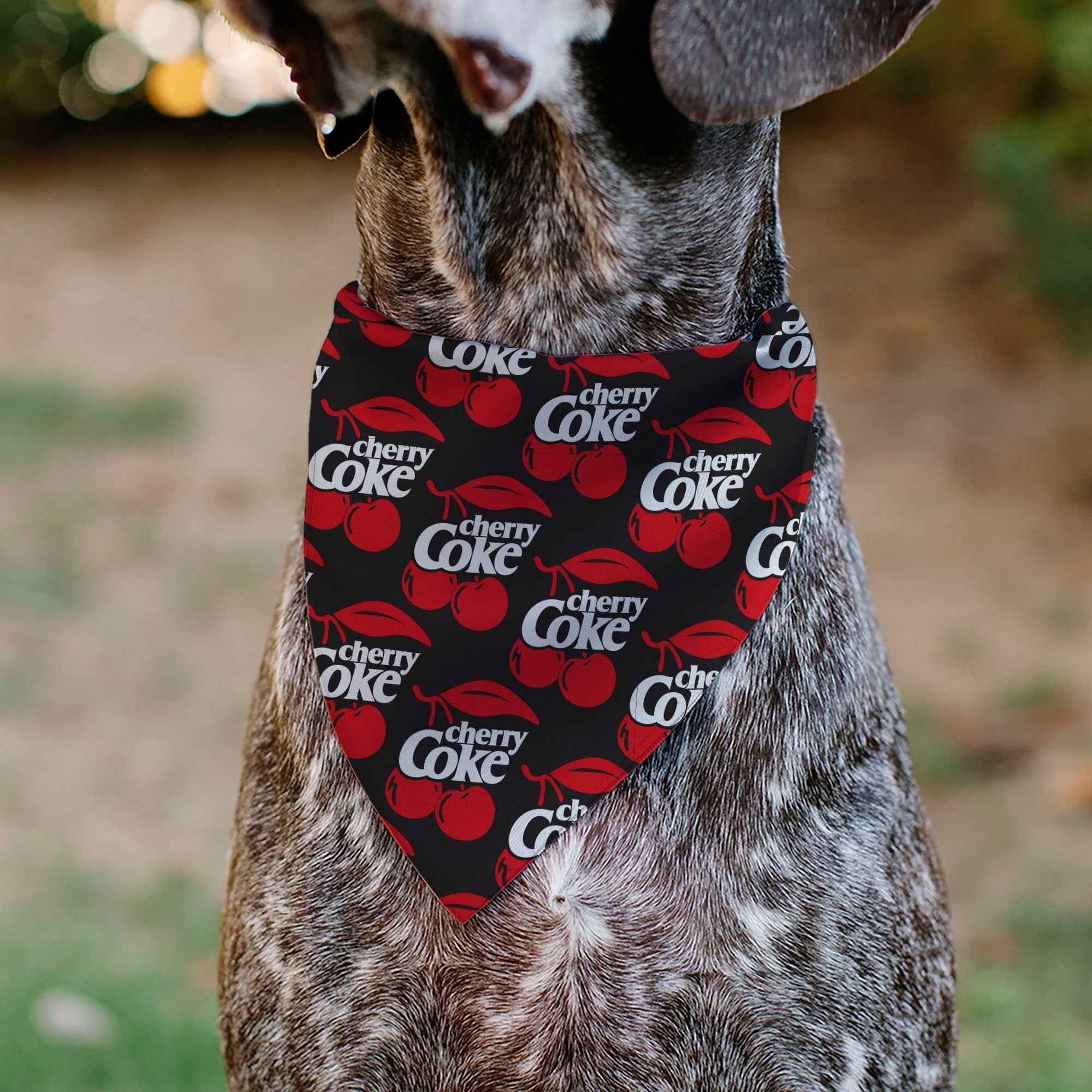 Buckle-Down Cherry COKE and Cherries Logo Collage Black/Red/White Over-the-Collar Dog Bandana