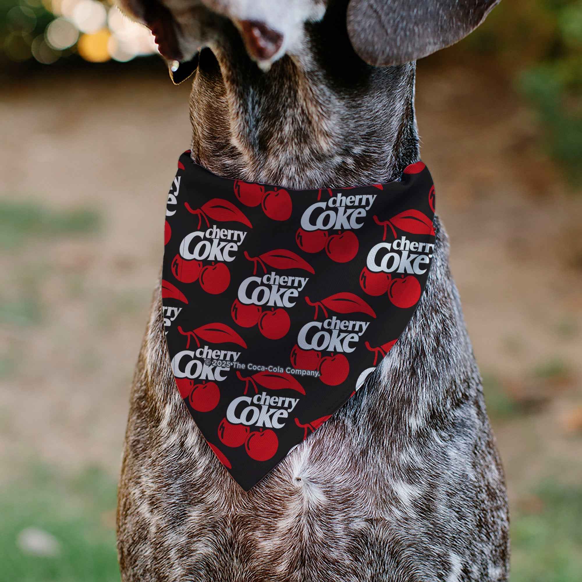 Buckle-Down Cherry COKE and Cherries Logo Collage Black/Red/White Over-the-Collar Dog Bandana