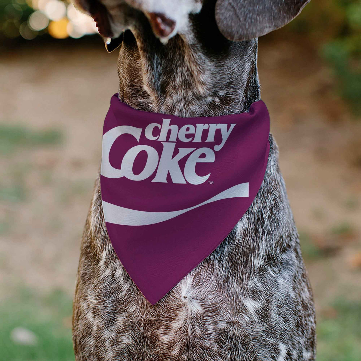 Pet Bandana - CHERRY COKE Wave Logo Burgundy/White