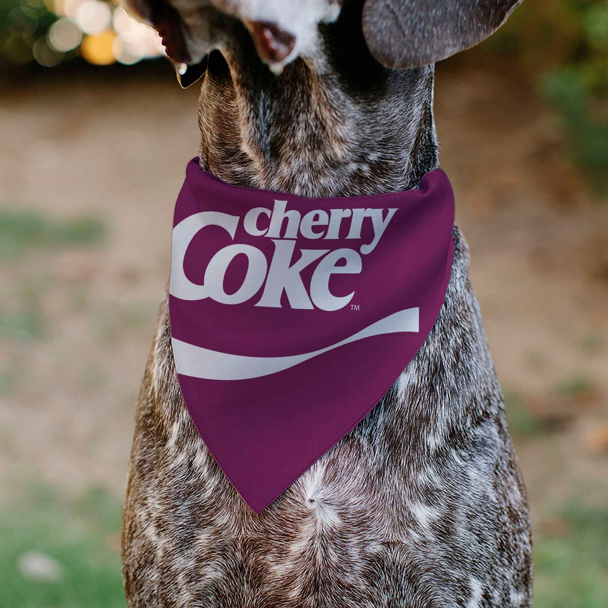 Pet Bandana - CHERRY COKE Wave Logo Burgundy/White