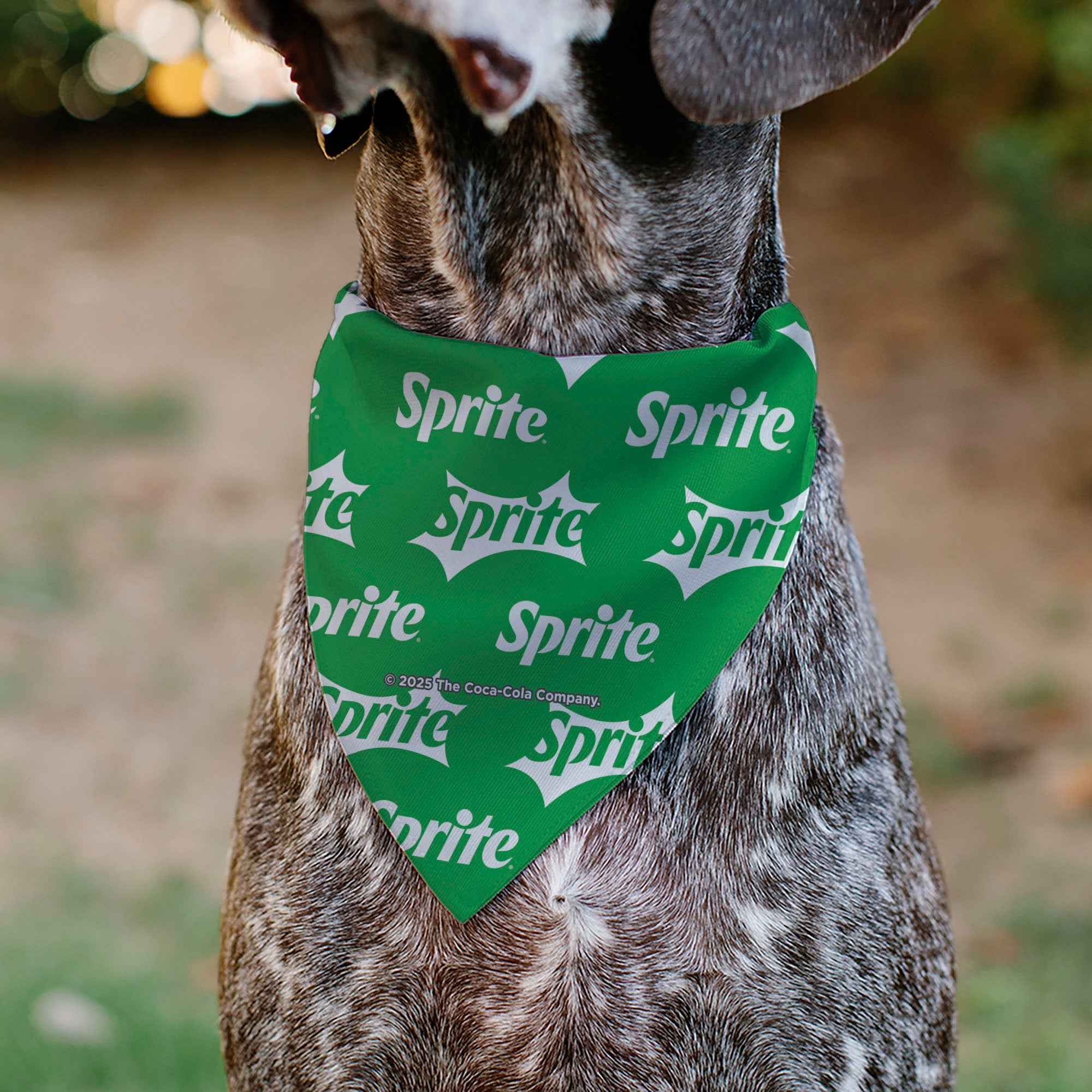 Buckle-Down Sprite Logo Repeat Green/White Over-the-Collar Dog Bandana