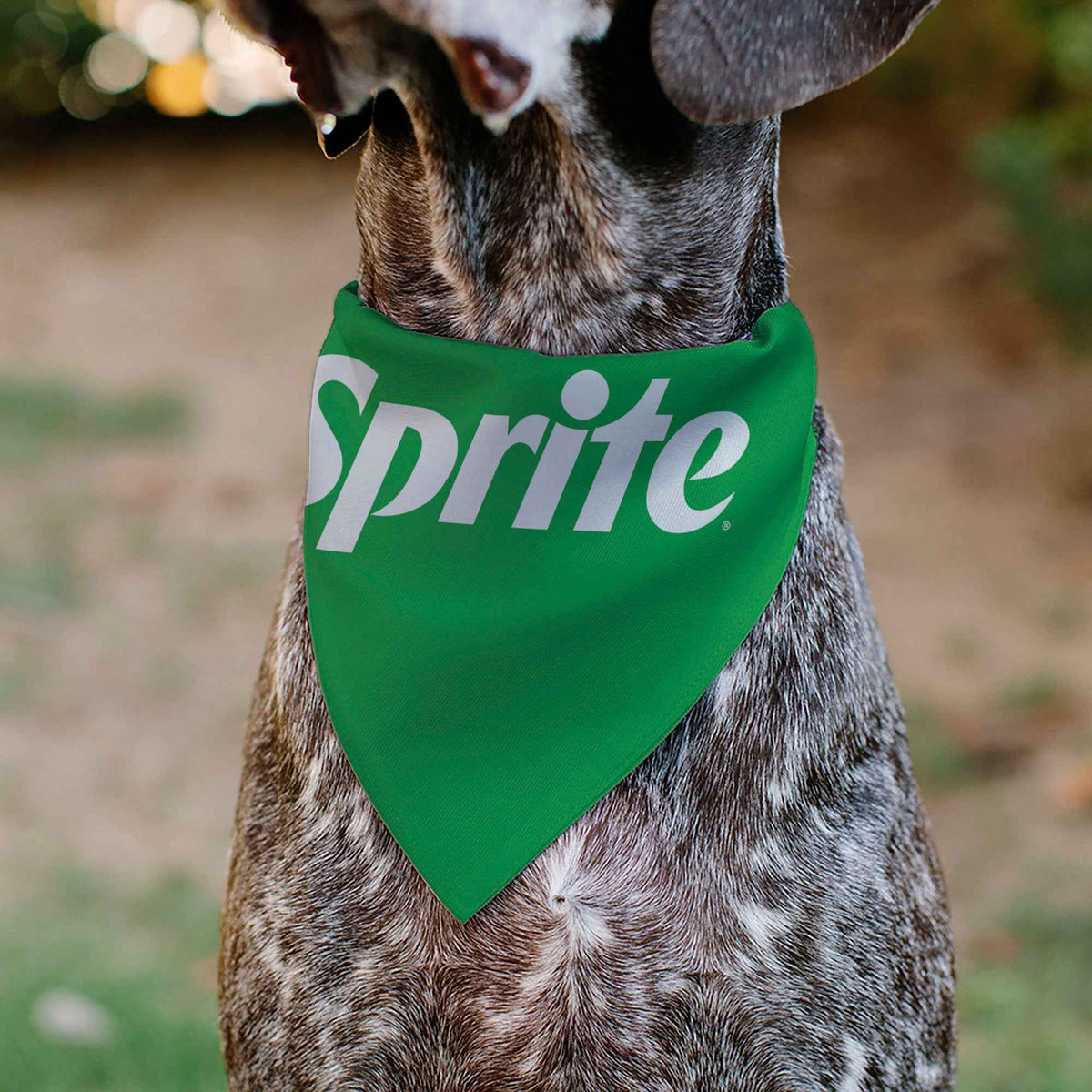 Pet Bandana - SPRITE Text Logo Green/White
