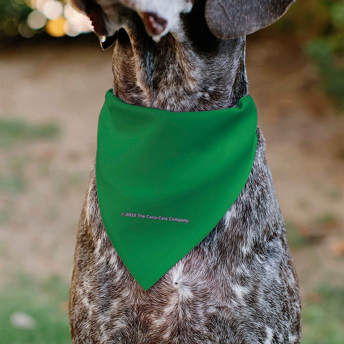 Pet Bandana - SPRITE Text Logo Green/White