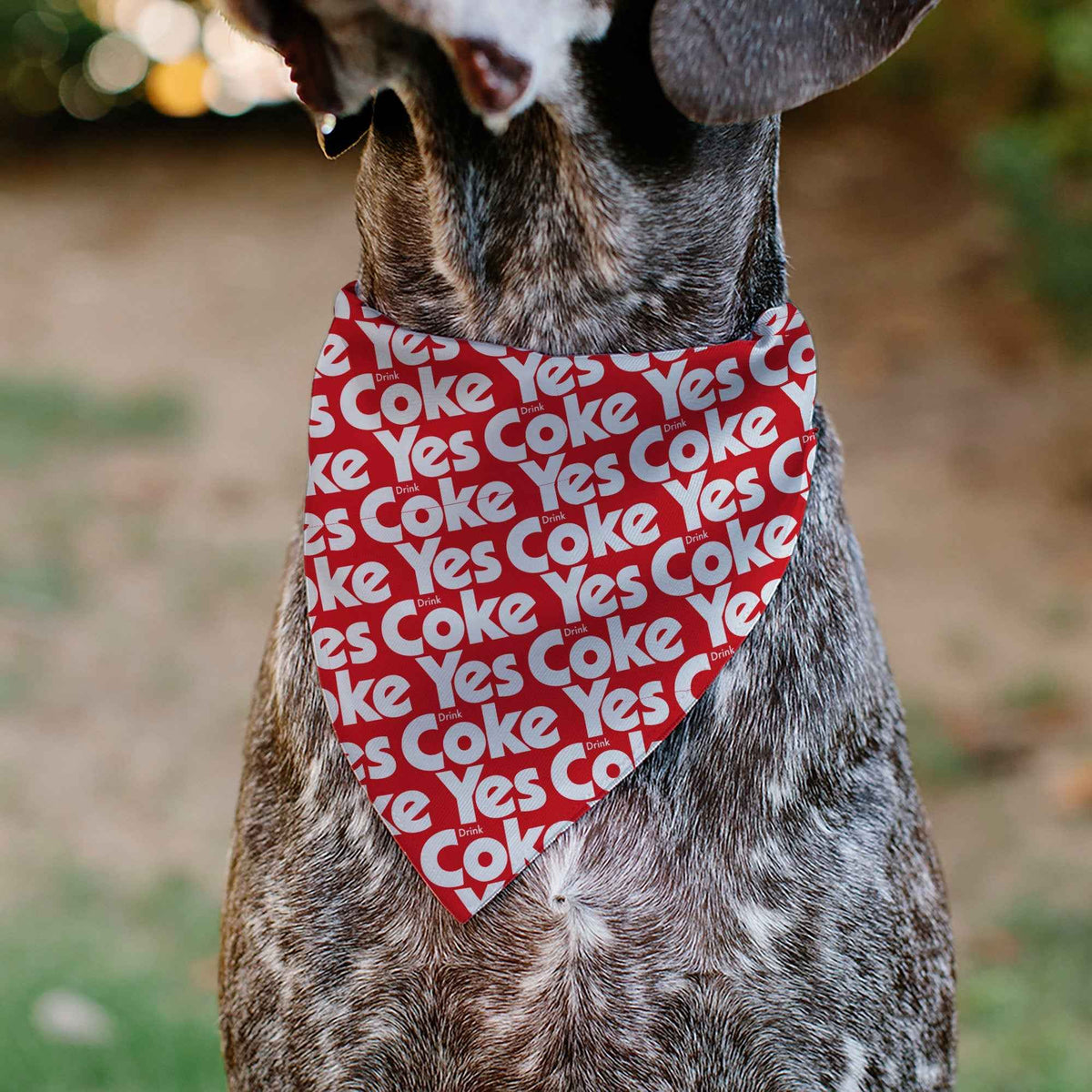 Pet Bandana - Coca-Cola YES COKE YES Text Collage Red/White