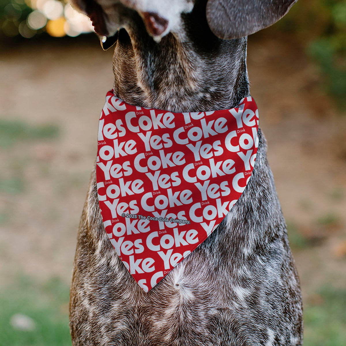 Pet Bandana - Coca-Cola YES COKE YES Text Collage Red/White | HT Animal Supply