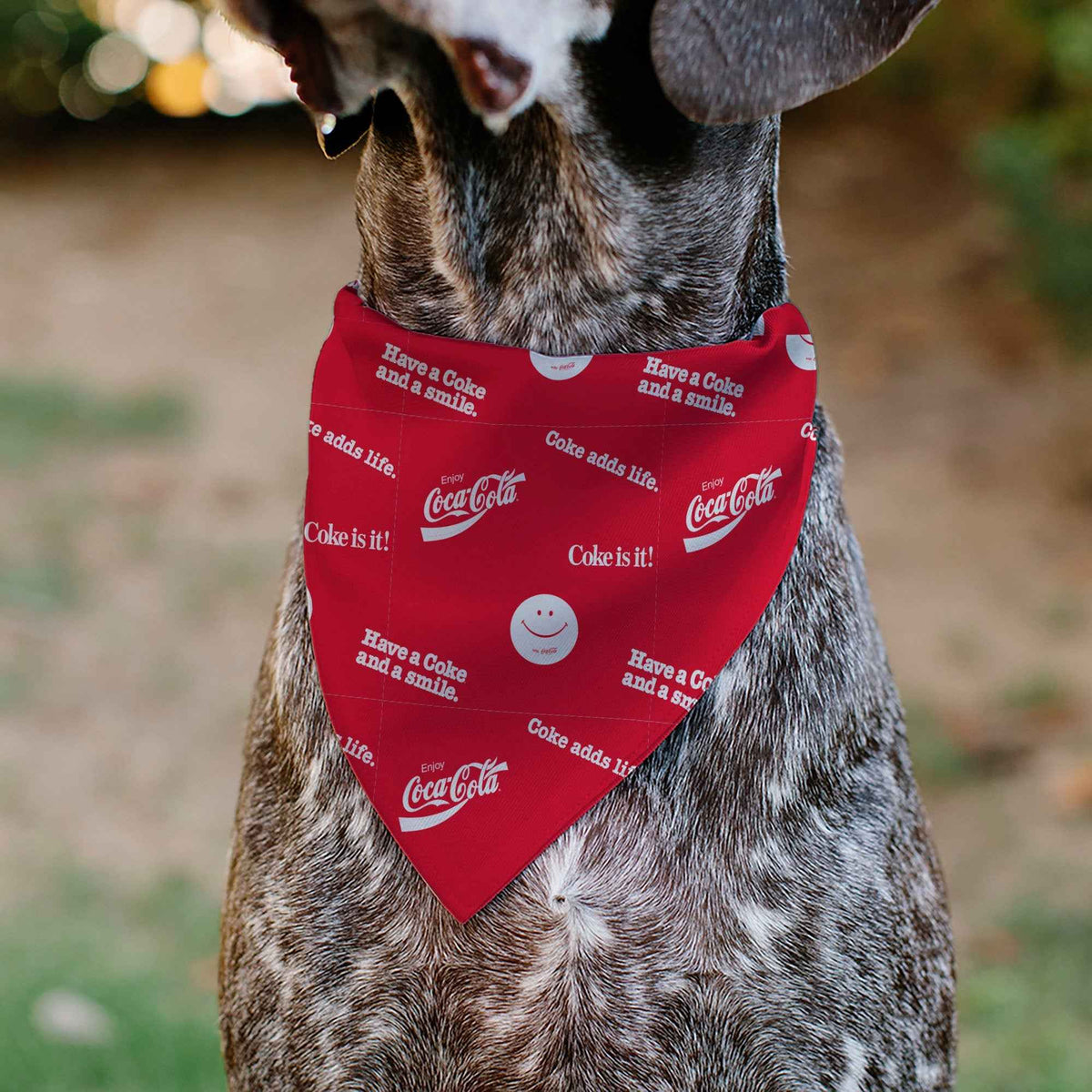 Pet Bandana - COCA-COLA Coke Quotes Scattered Red/White