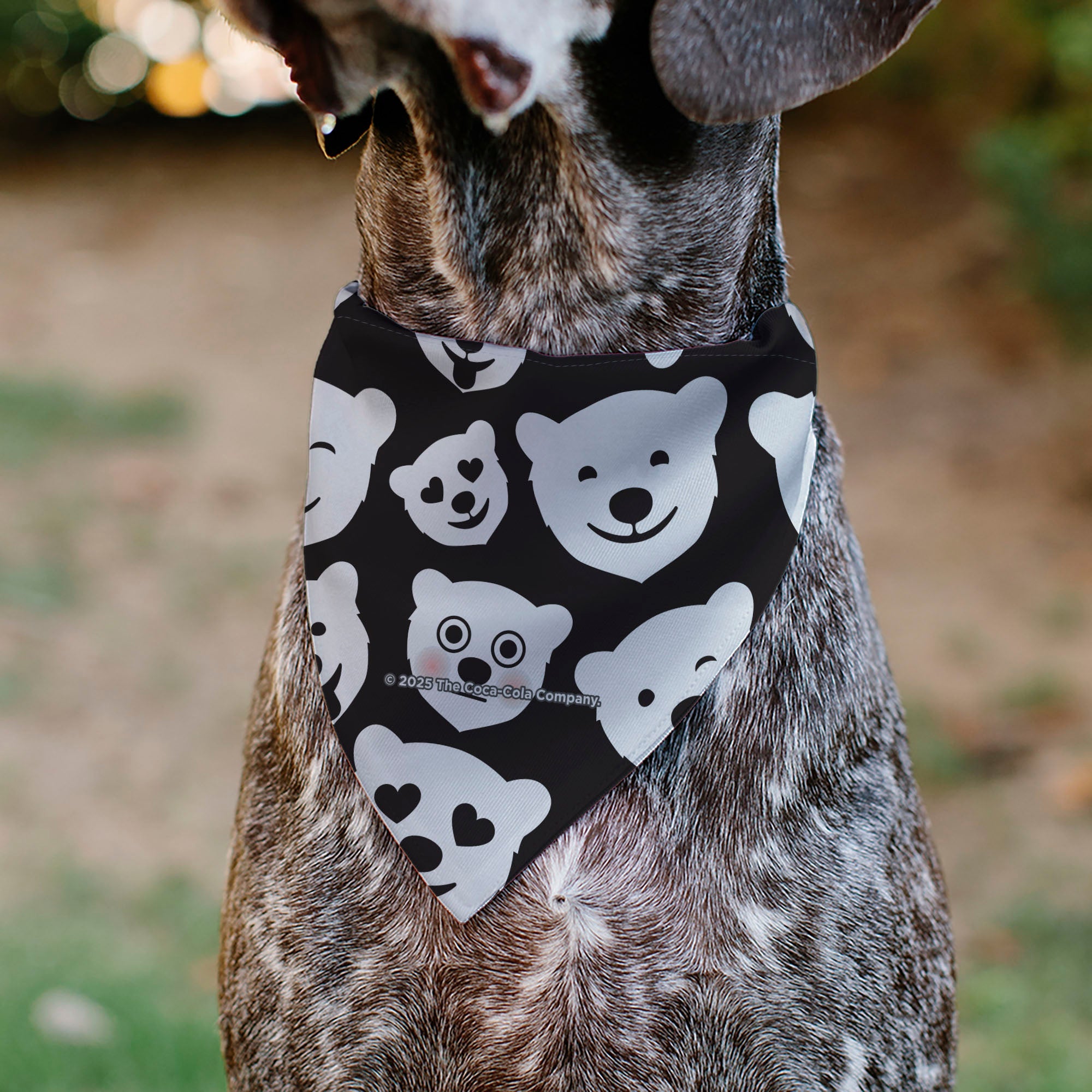 Buckle-Down Coca-Cola Polar Bear Expressions Scattered Black/White Over-the-Collar Dog Bandana