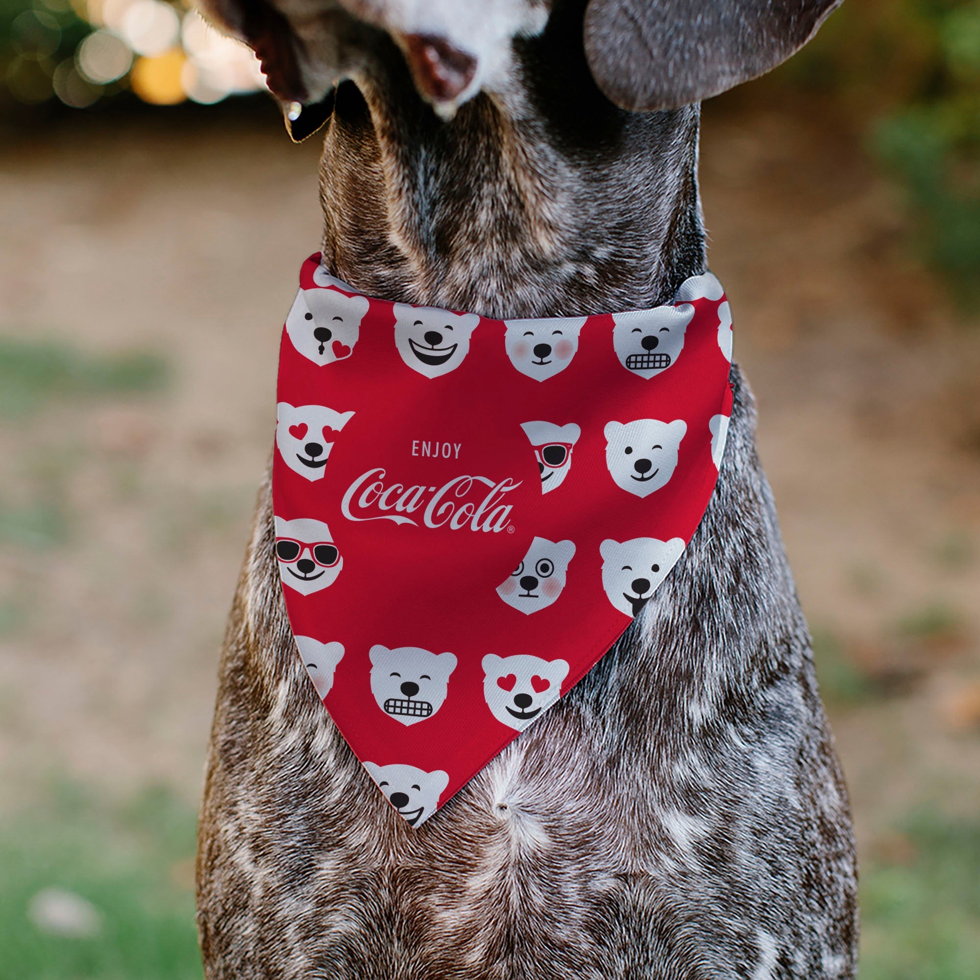 Buckle-Down Enjoy Coca-Cola Logo and Polar Bear Expressions Red/White Over-the-Collar Dog Bandana