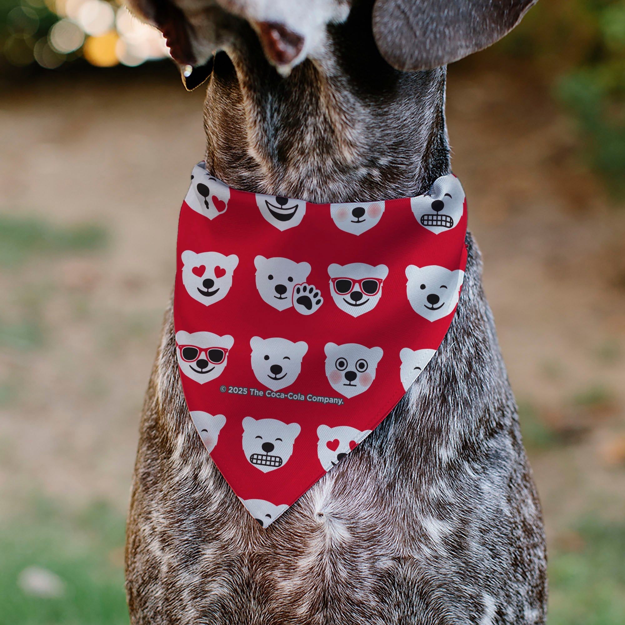 Buckle-Down Enjoy Coca-Cola Logo and Polar Bear Expressions Red/White Over-the-Collar Dog Bandana