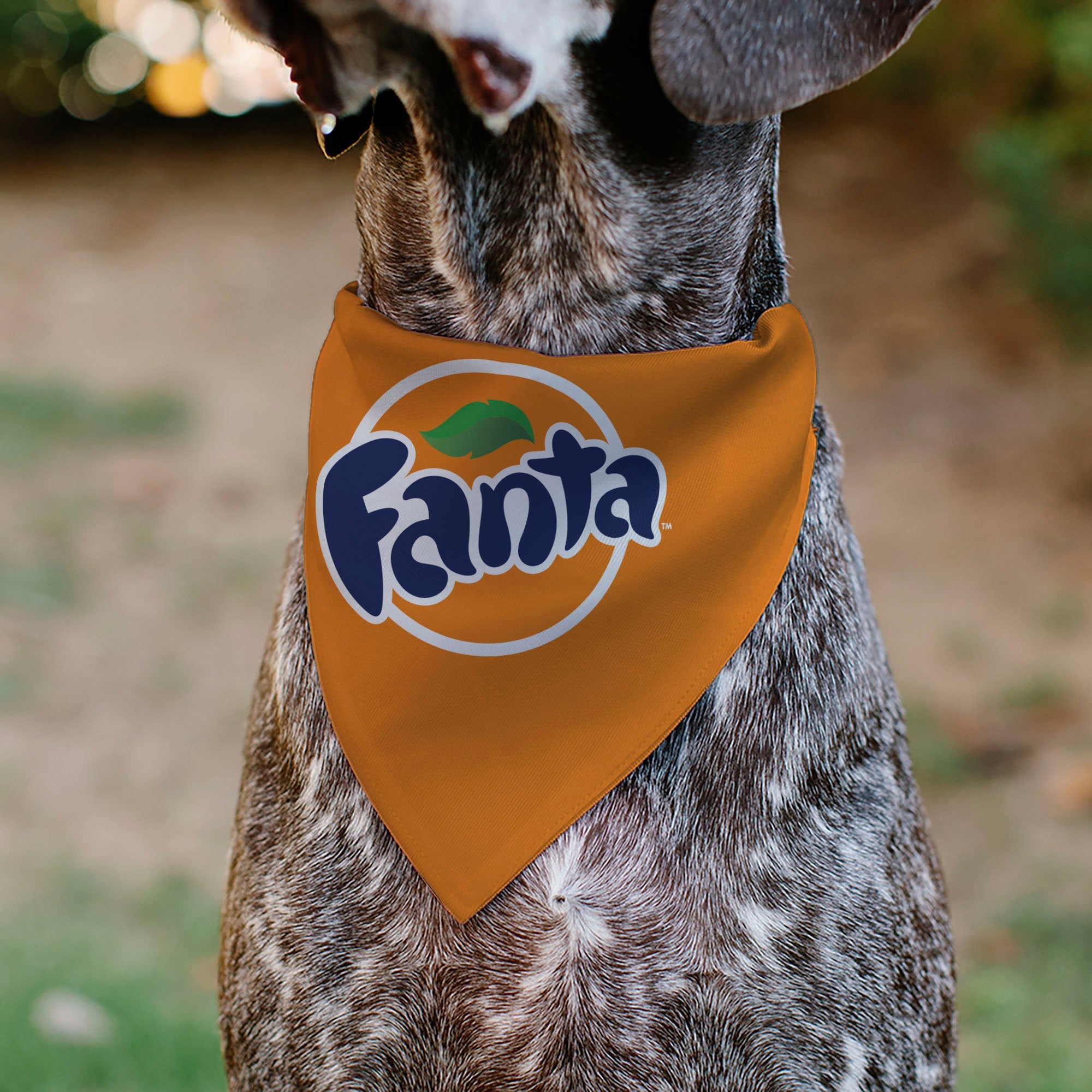 Buckle-Down Fanta Orange Round Logo Orange/White/Blue Over-the-Collar Dog Bandana