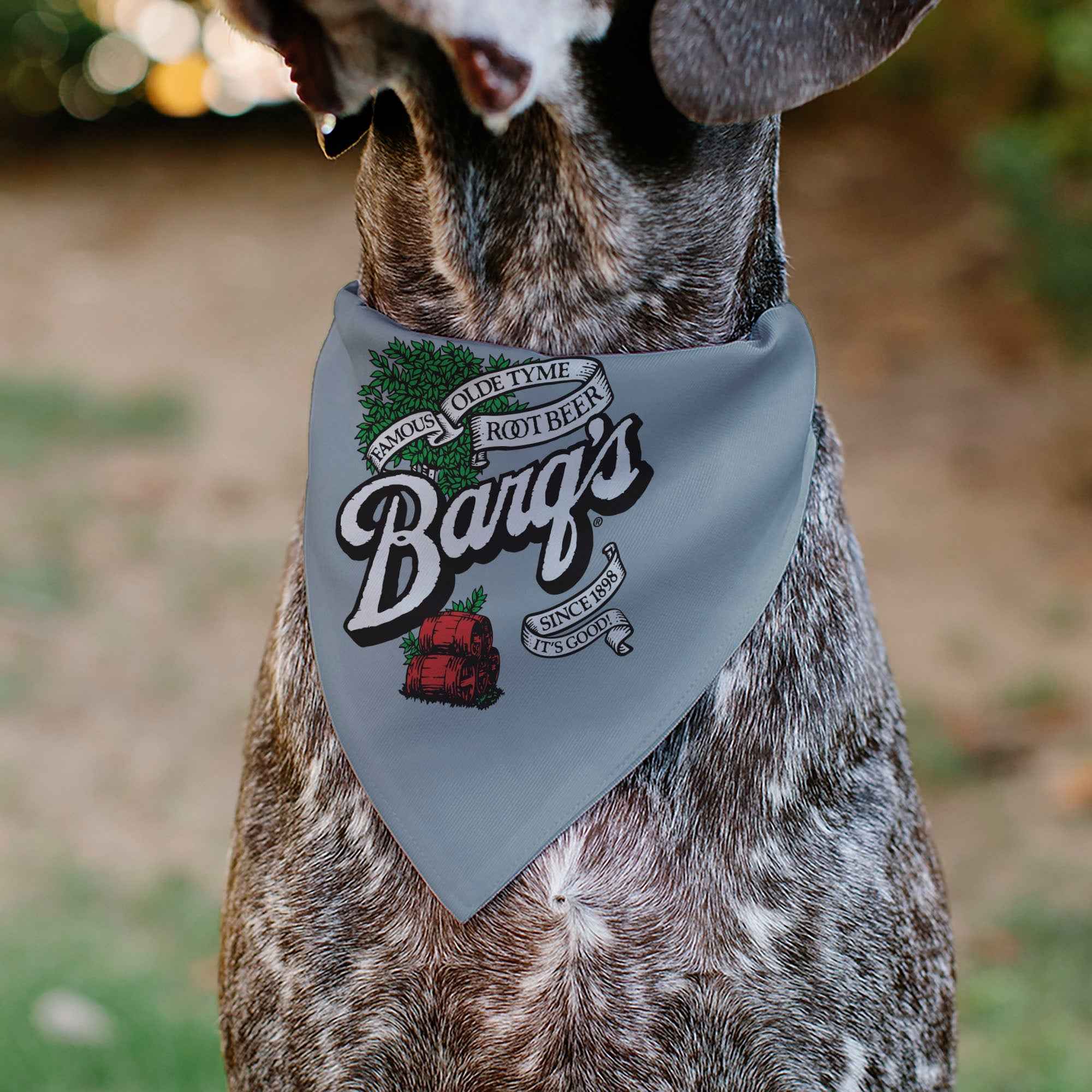 Pet Bandana - BARQS OLD TYME ROOT BEER Barrels Logo Gray