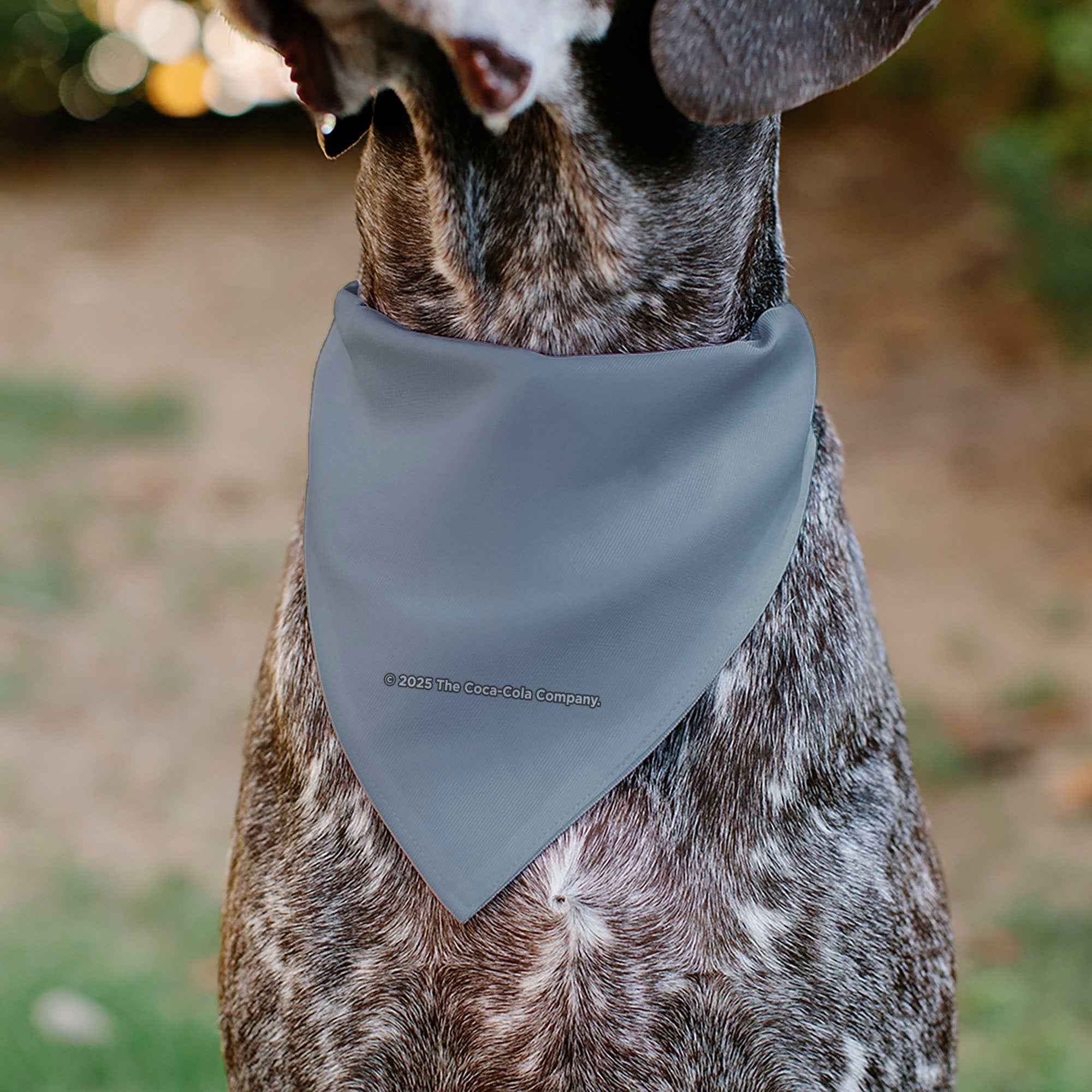 Pet Bandana - BARQS OLD TYME ROOT BEER Barrels Logo Gray