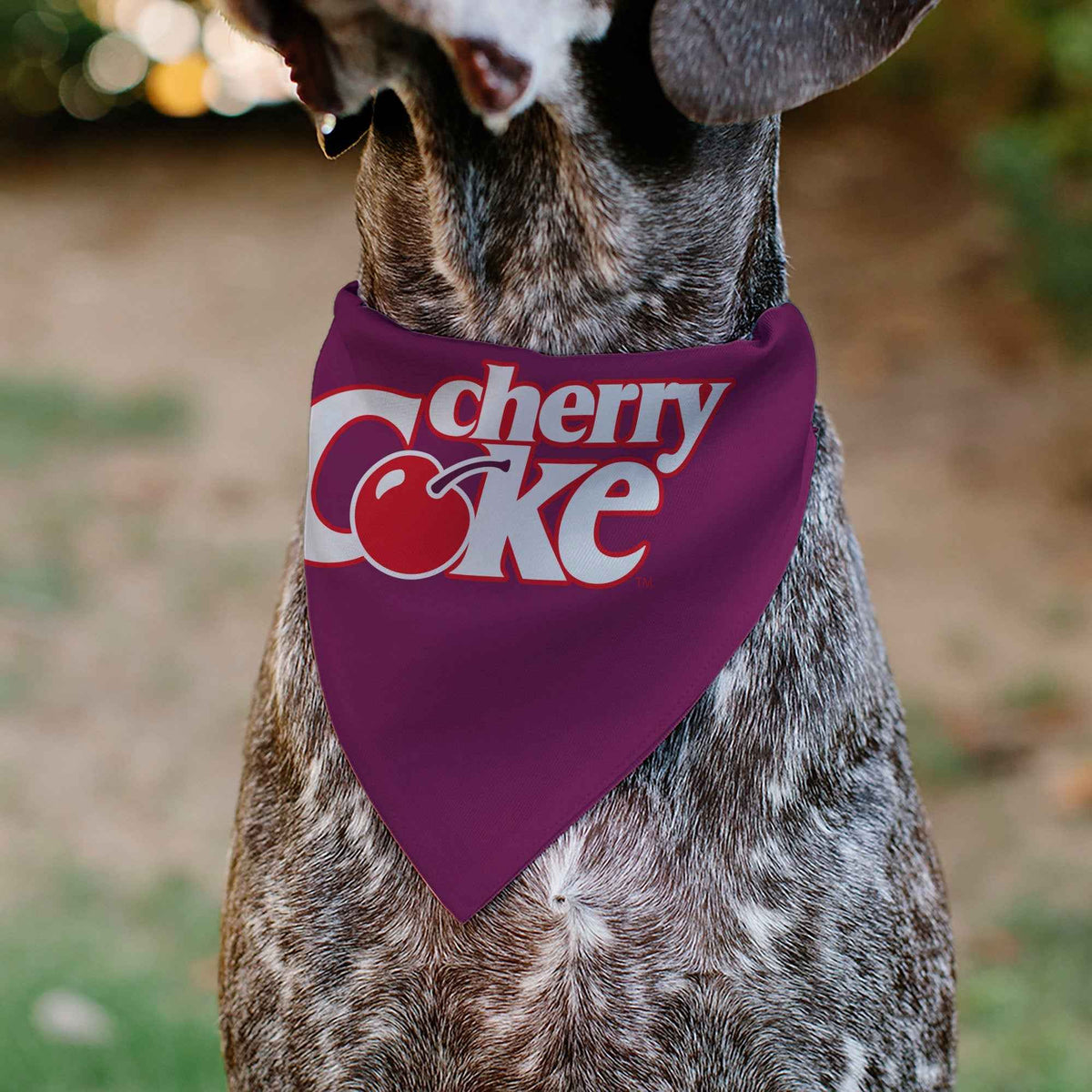 Pet Bandana - CHERRY COKE Cherry Logo Burgundy/Red/White