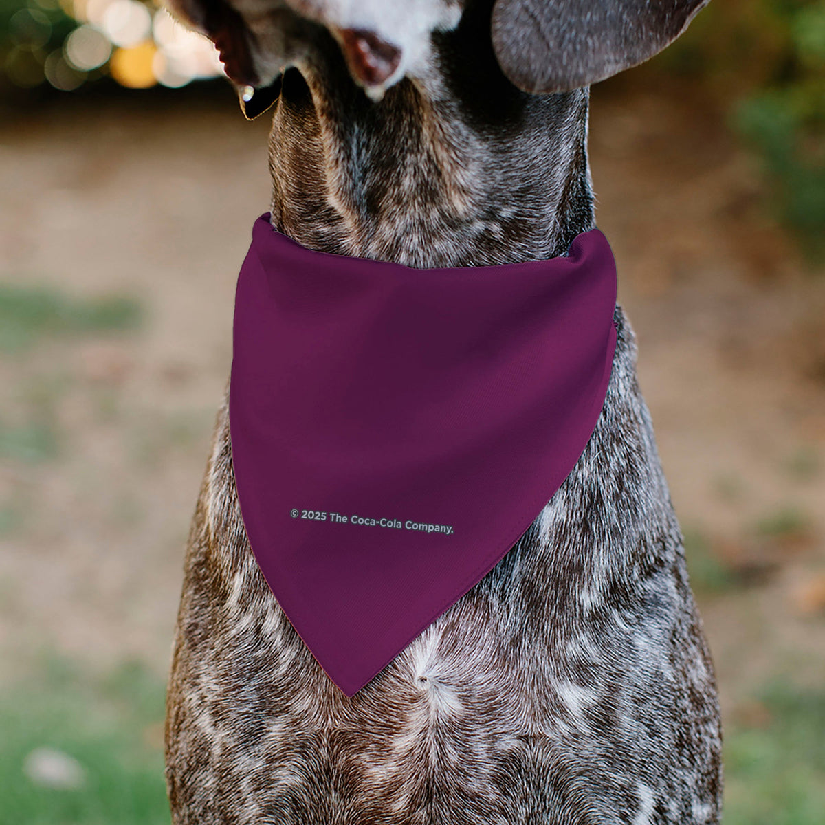 Pet Bandana - CHERRY COKE Cherry Logo Burgundy/Red/White | HT Animal Supply