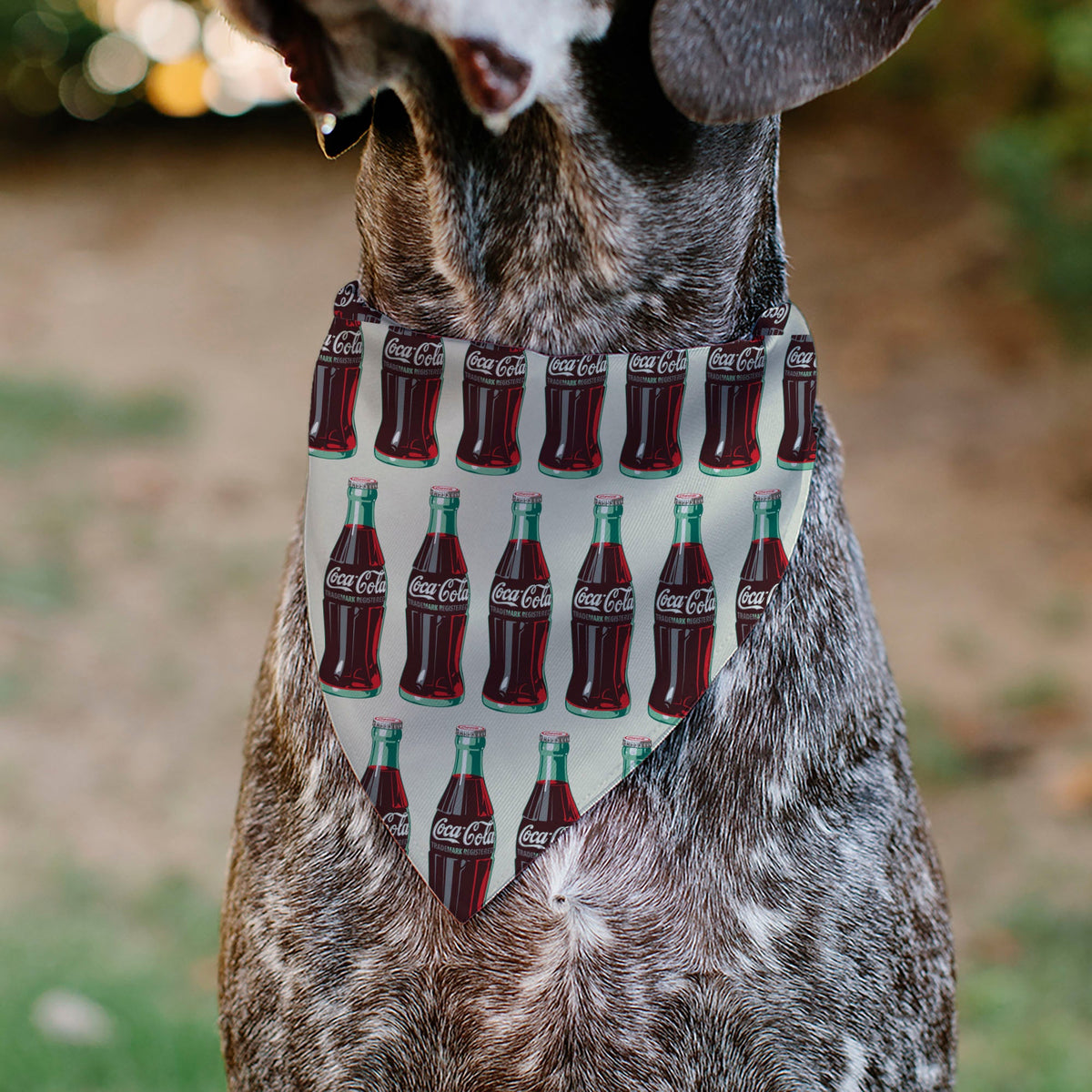 Buckle-Down Coca-Cola Glass Bottles Collage Pet Bandana