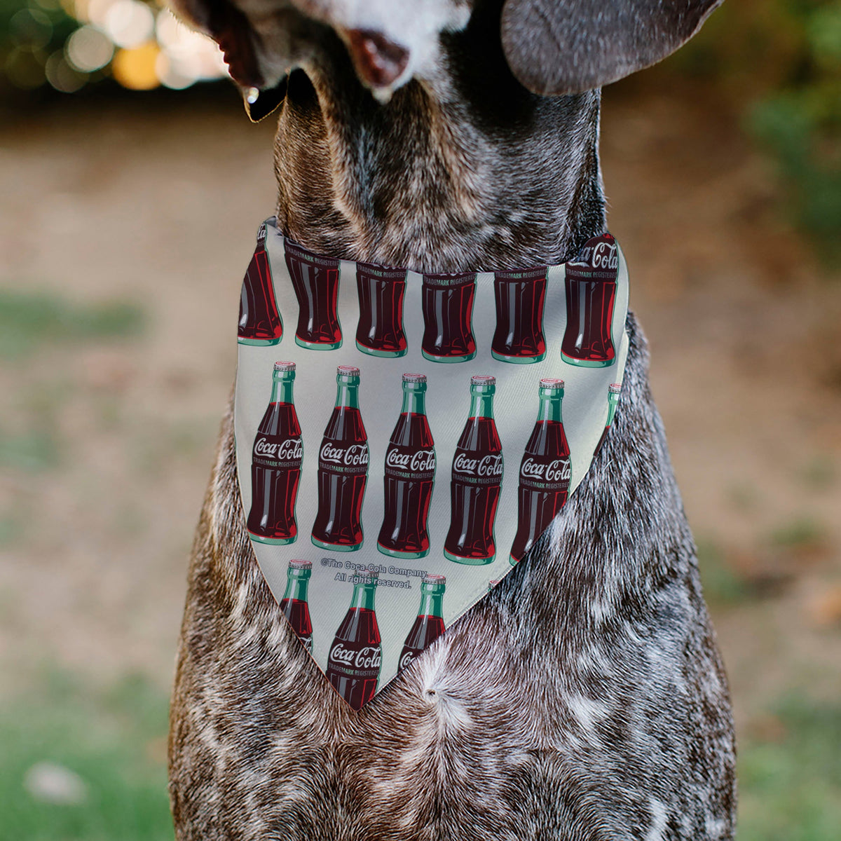 Buckle-Down Coca-Cola Glass Bottles Collage Pet Bandana