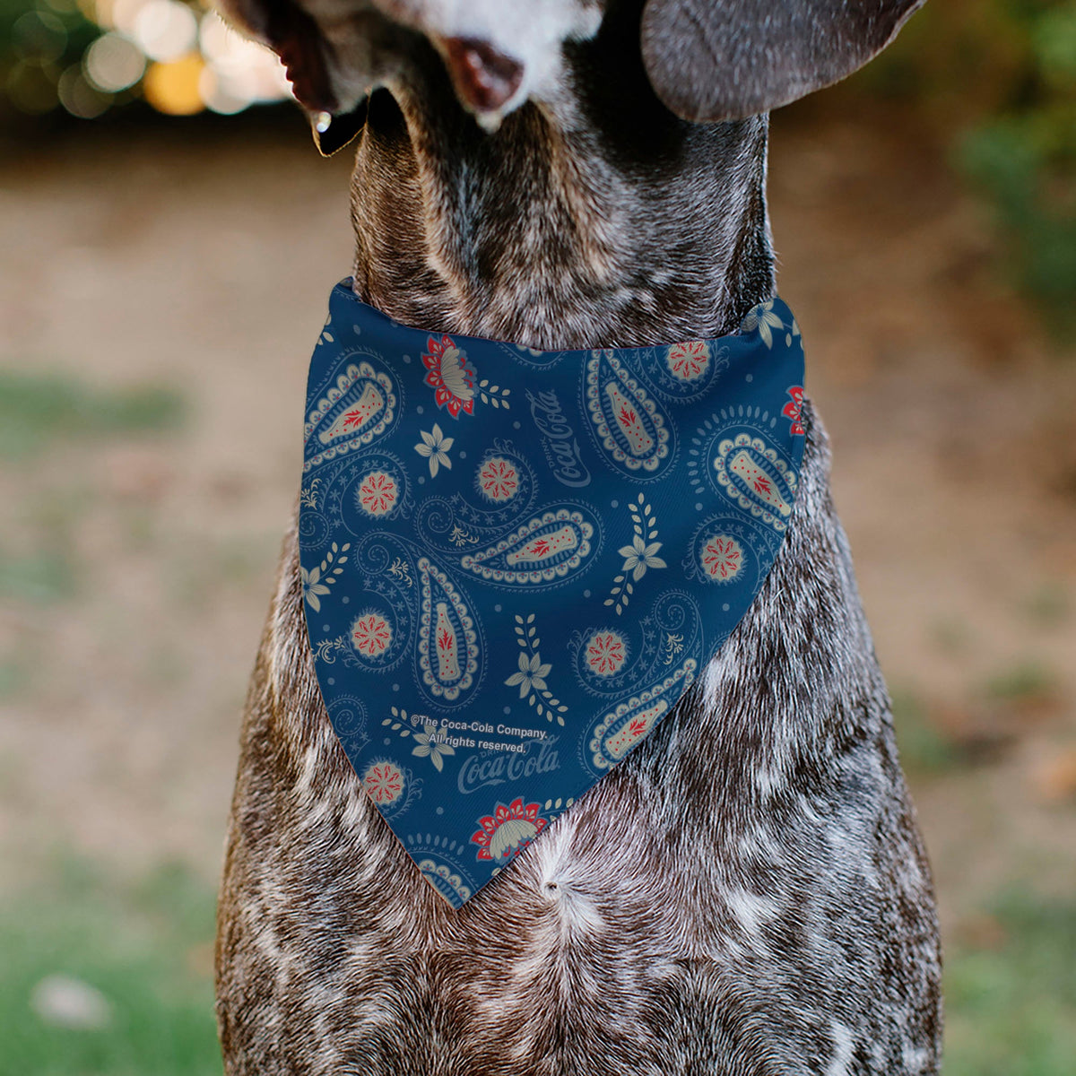 Buckle-Down Coca-Cola Paisley Bottle Icons Blue/White/Red Pet Bandana
