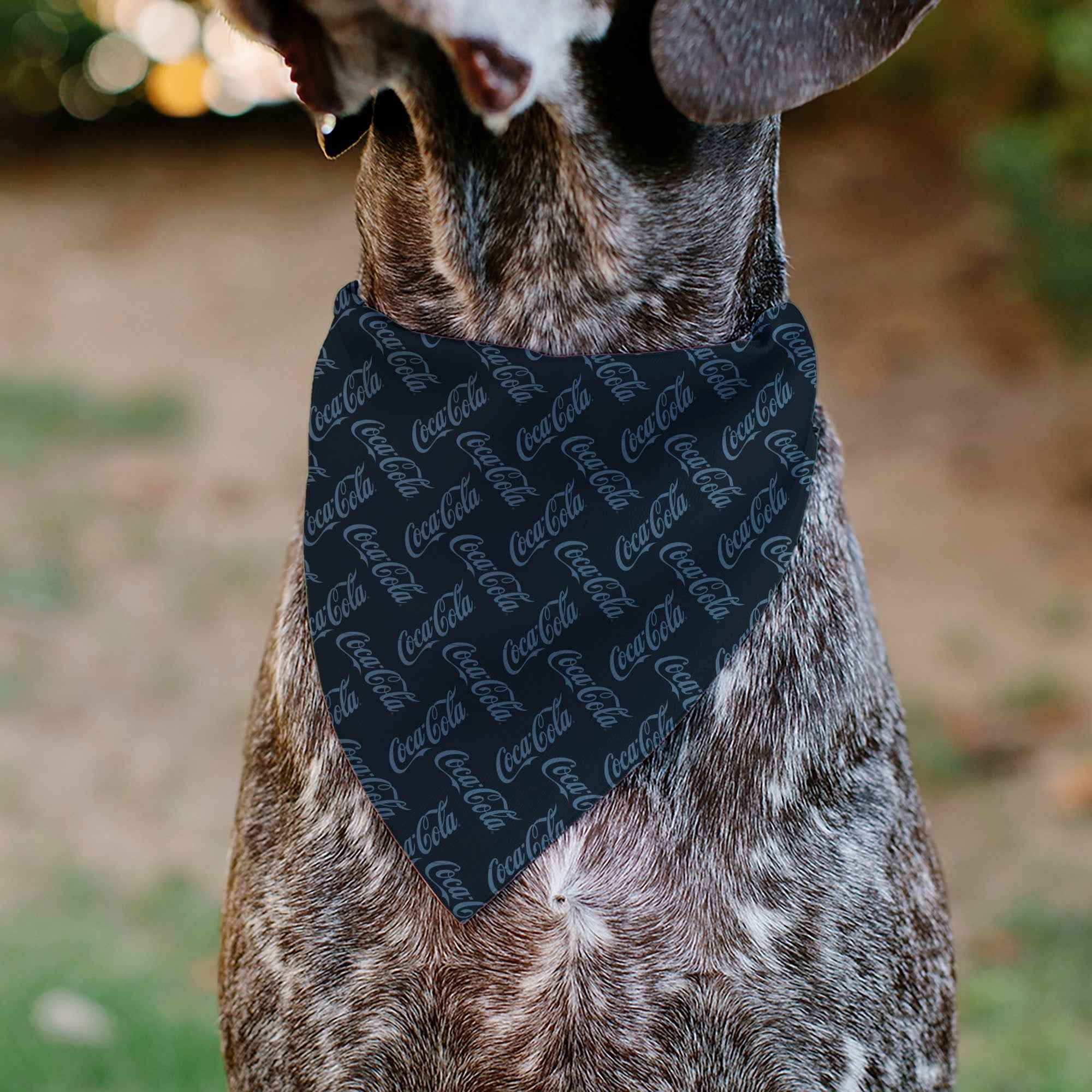 Pet Bandana - COCA-COLA Script Collage Navy/Light Blue