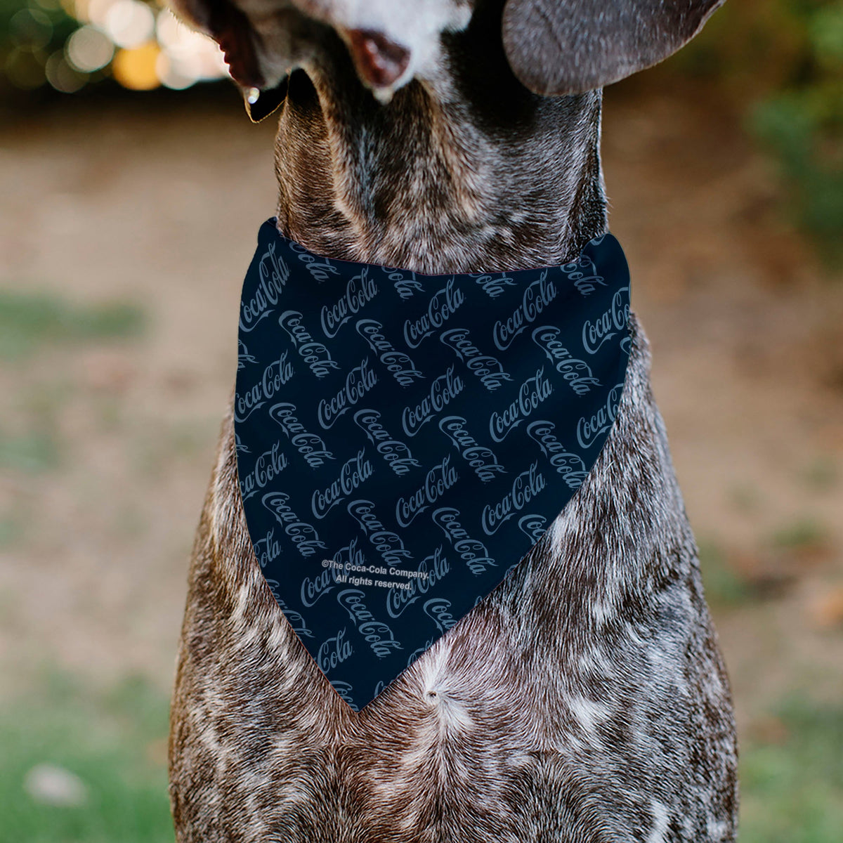 Buckle-Down Coca-Cola Script Collage Navy/Blue Pet Bandana