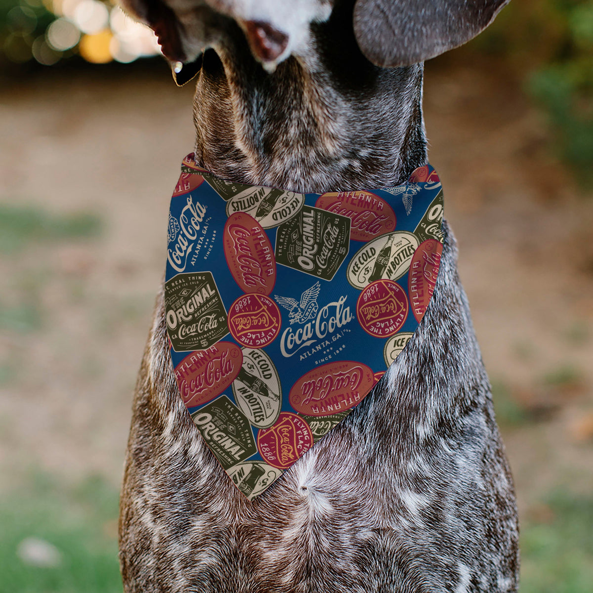 Buckle-Down Classic Coca-Cola Badges Collage Pet Bandana
