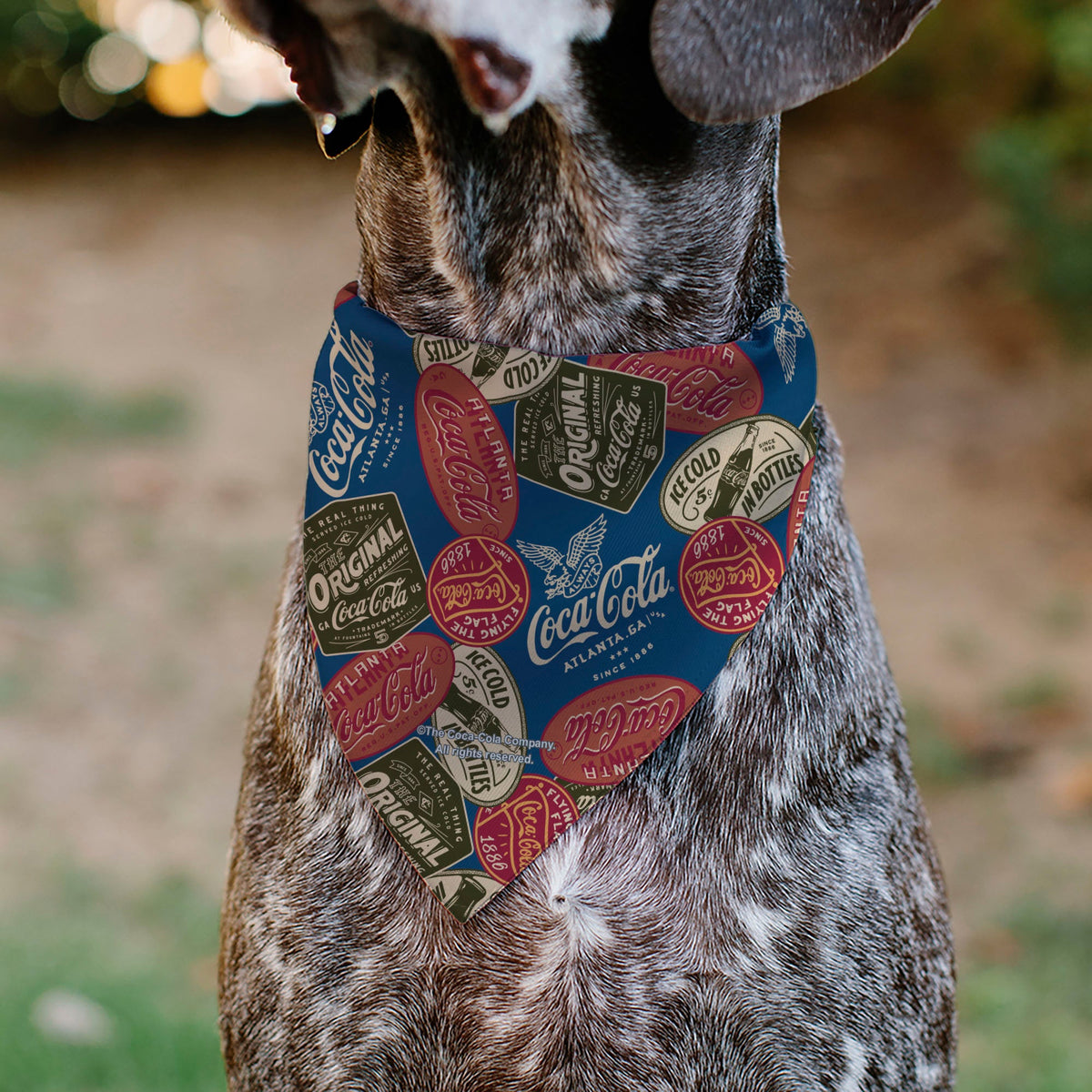 Buckle-Down Classic Coca-Cola Badges Collage Pet Bandana