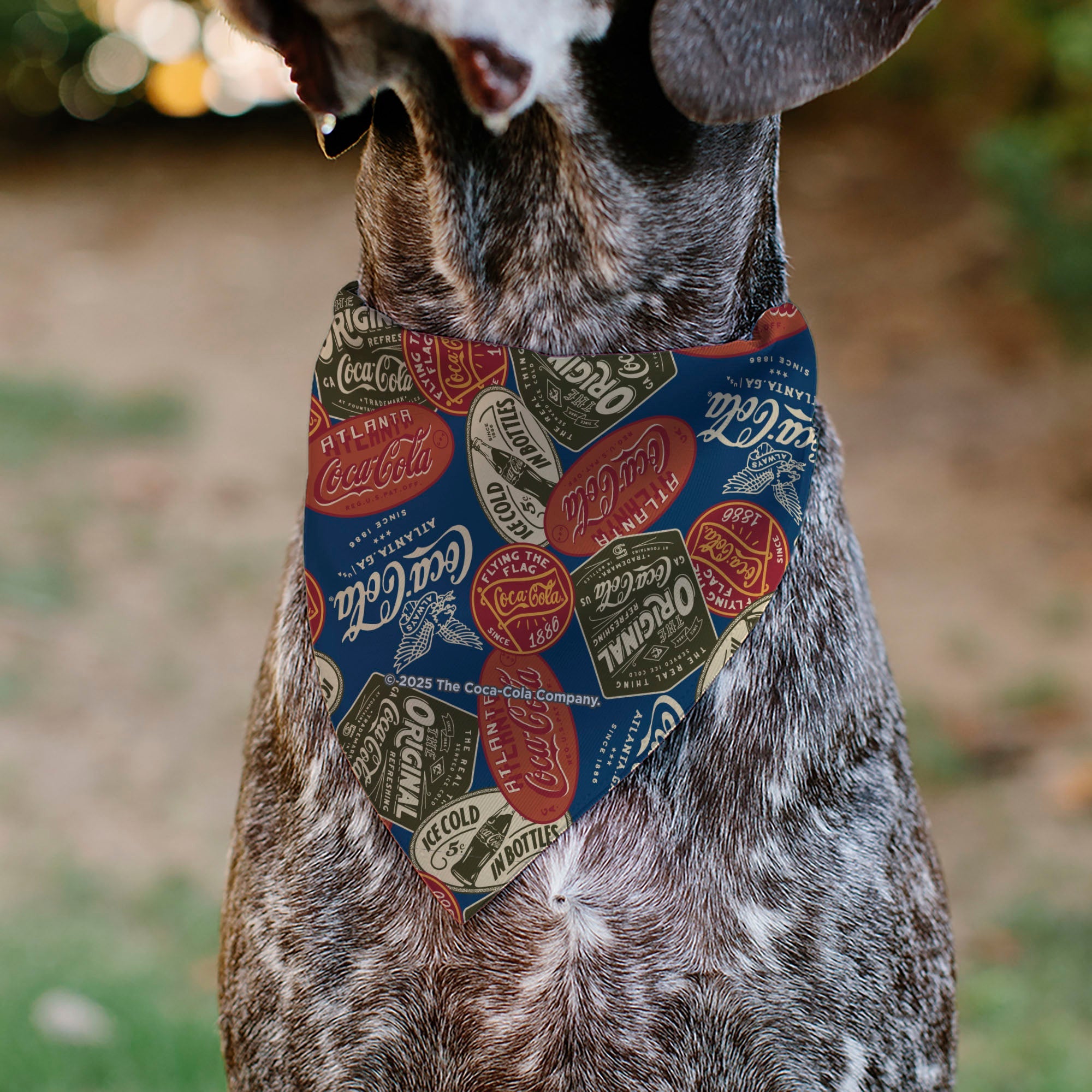 Pet Bandana - Classic COCA-COLA Badges Collage Blue