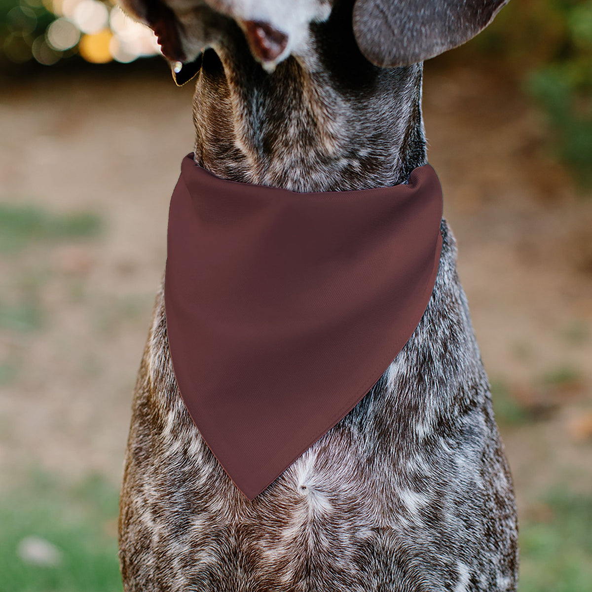 Pet Bandana - RAM CHARGER Americana Browns/Black | HT Animal Supply