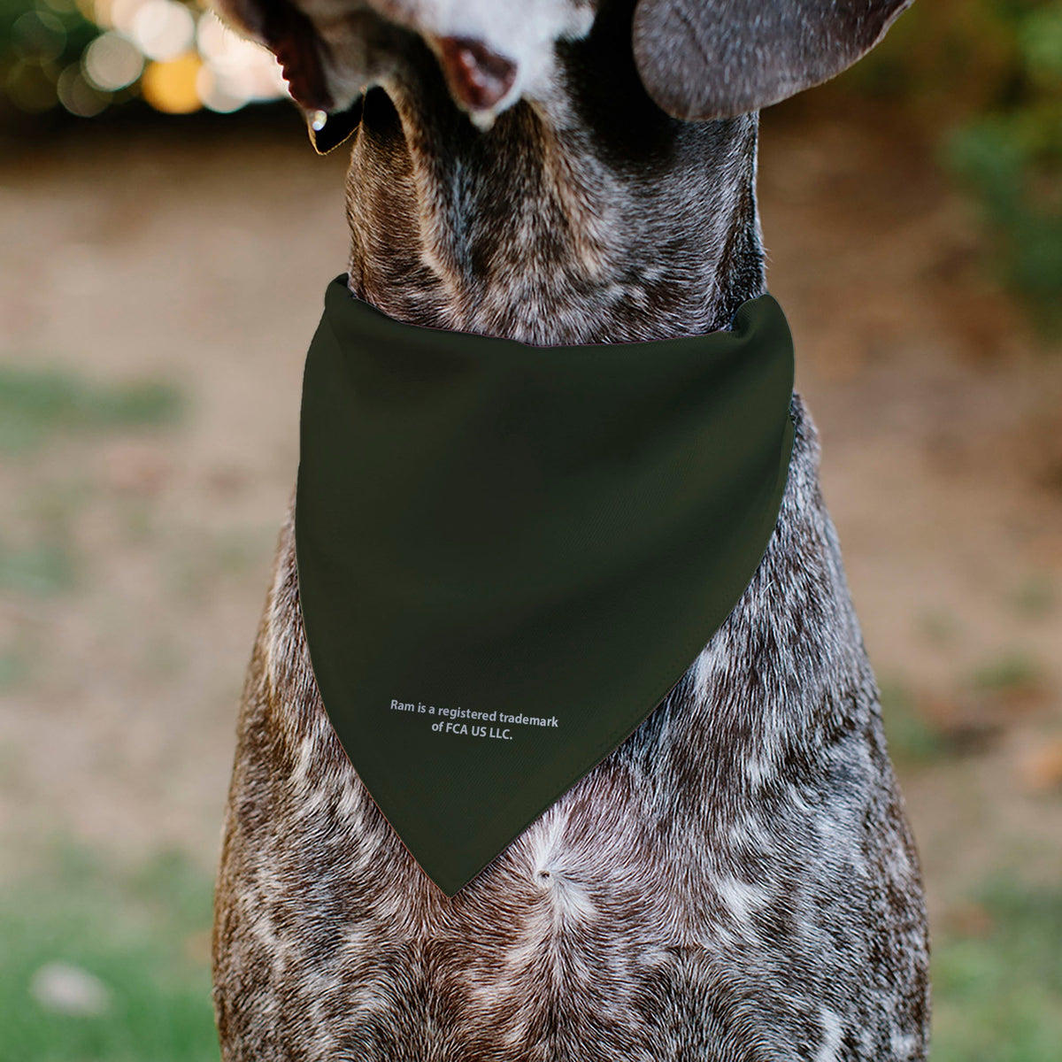 Pet Bandana - RAM TRX Americana Stars and Stripes Weathered Black/Brown/White | HT Animal Supply