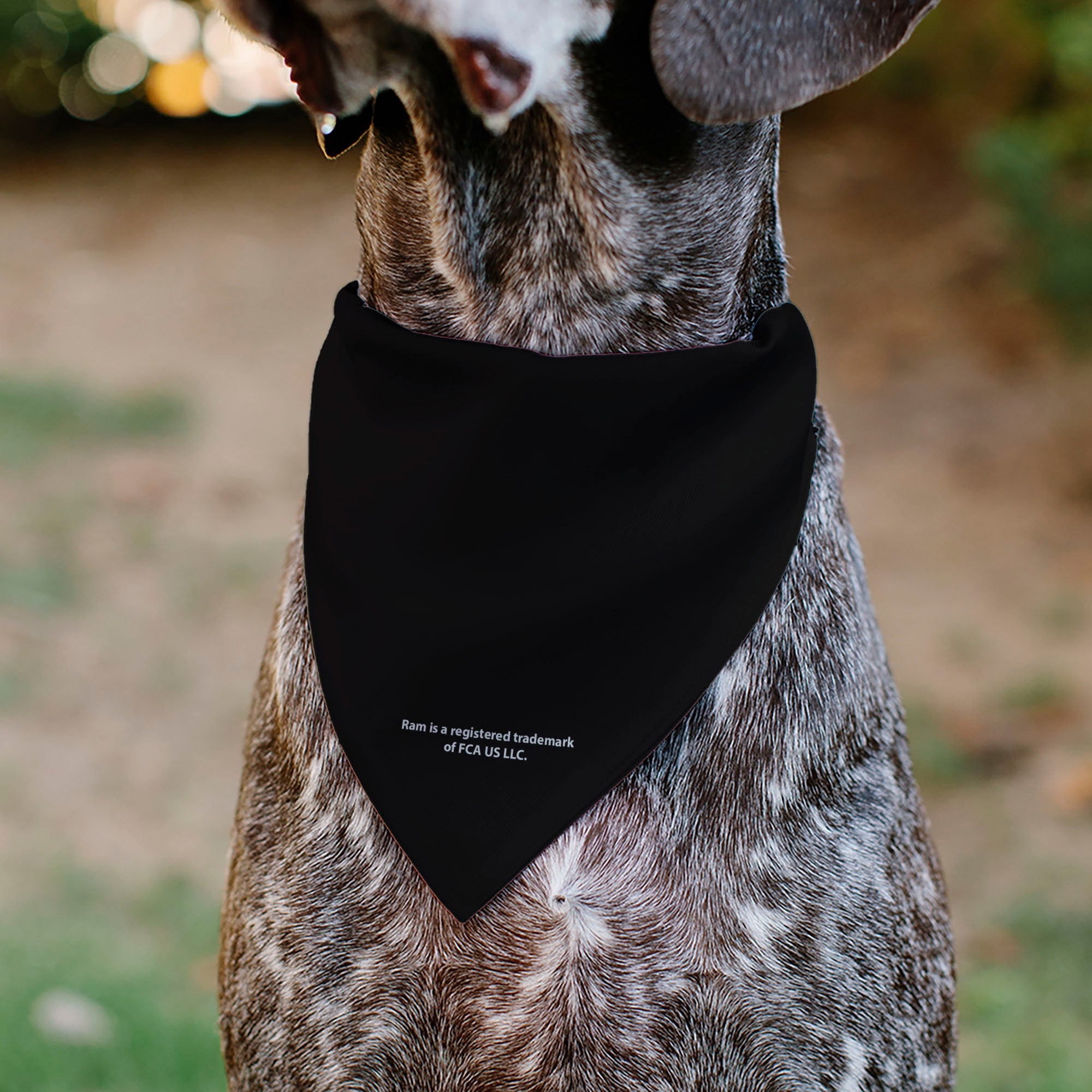 Buckle-Down RAM Americana Stars and Stripes Weathered Black/Brown/White Over-the-Collar Dog Bandana