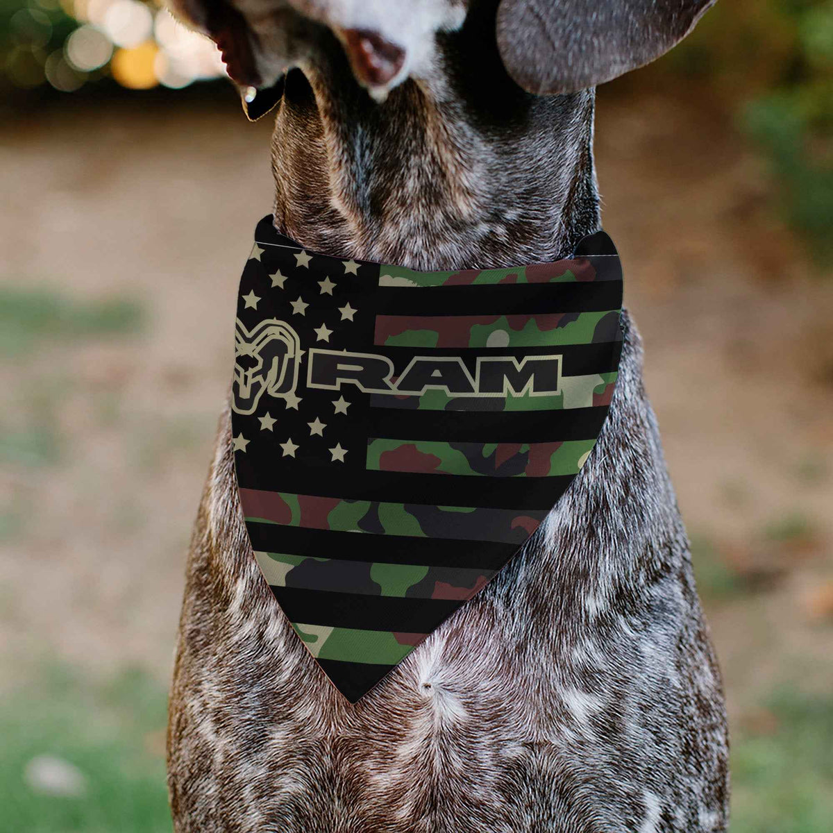 Pet Bandana - RAM Americana Stars and Stripes Black/Camo Olive