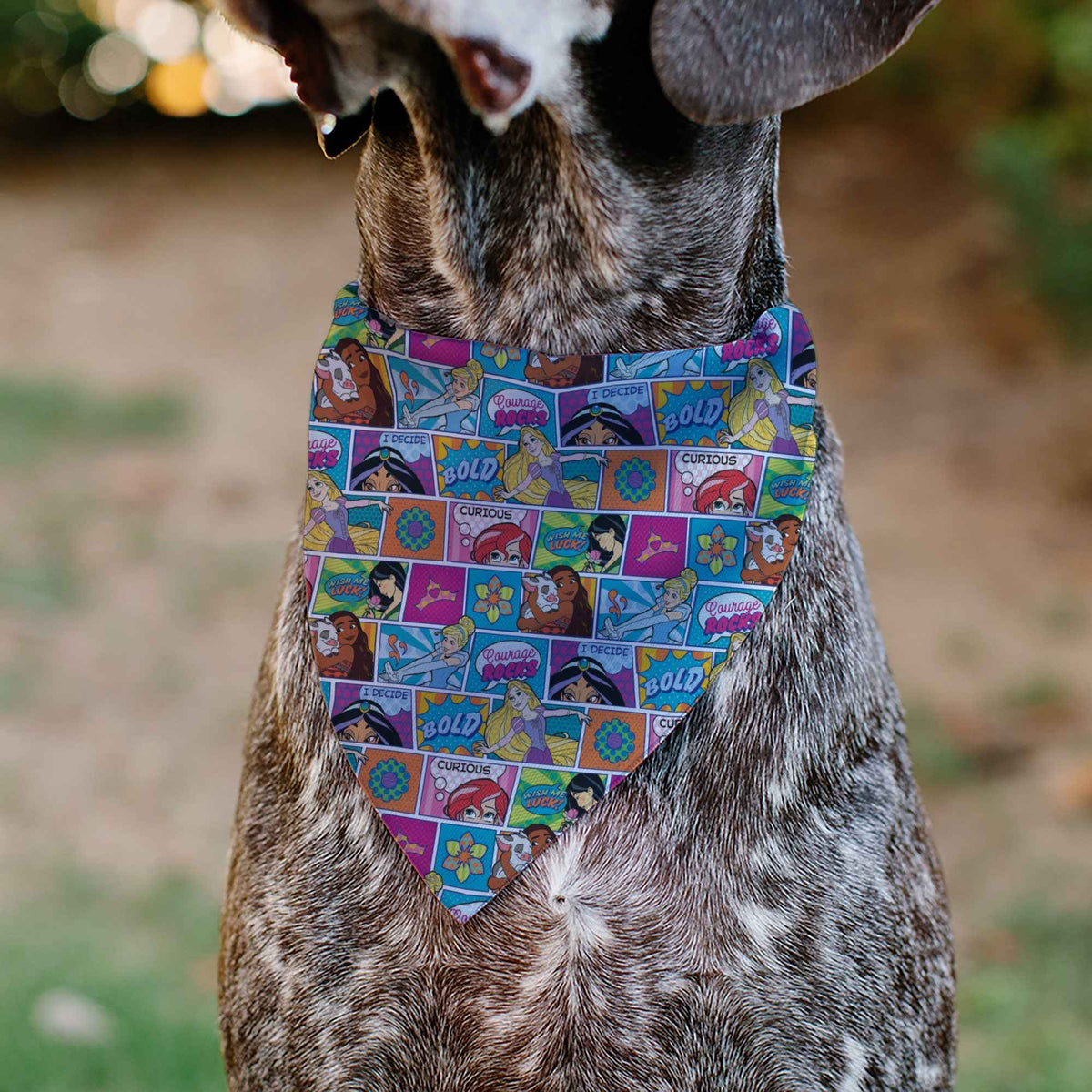 Pet Bandana - Disney Princess Pose and Quote Pop Art Blocks Multi Color